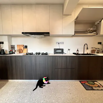 Customer home photo 6: Renders vs Reality, some practical tips from our reno journey 🙊🙉