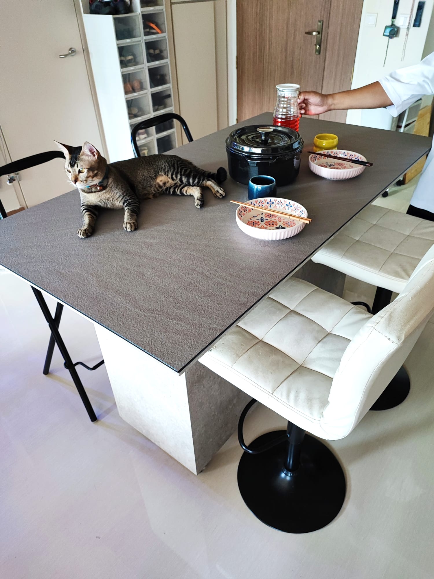 A multifunctional dining area, but on wheels! - Cat, table, dining room, modern kitchen, black and white, minimalist design