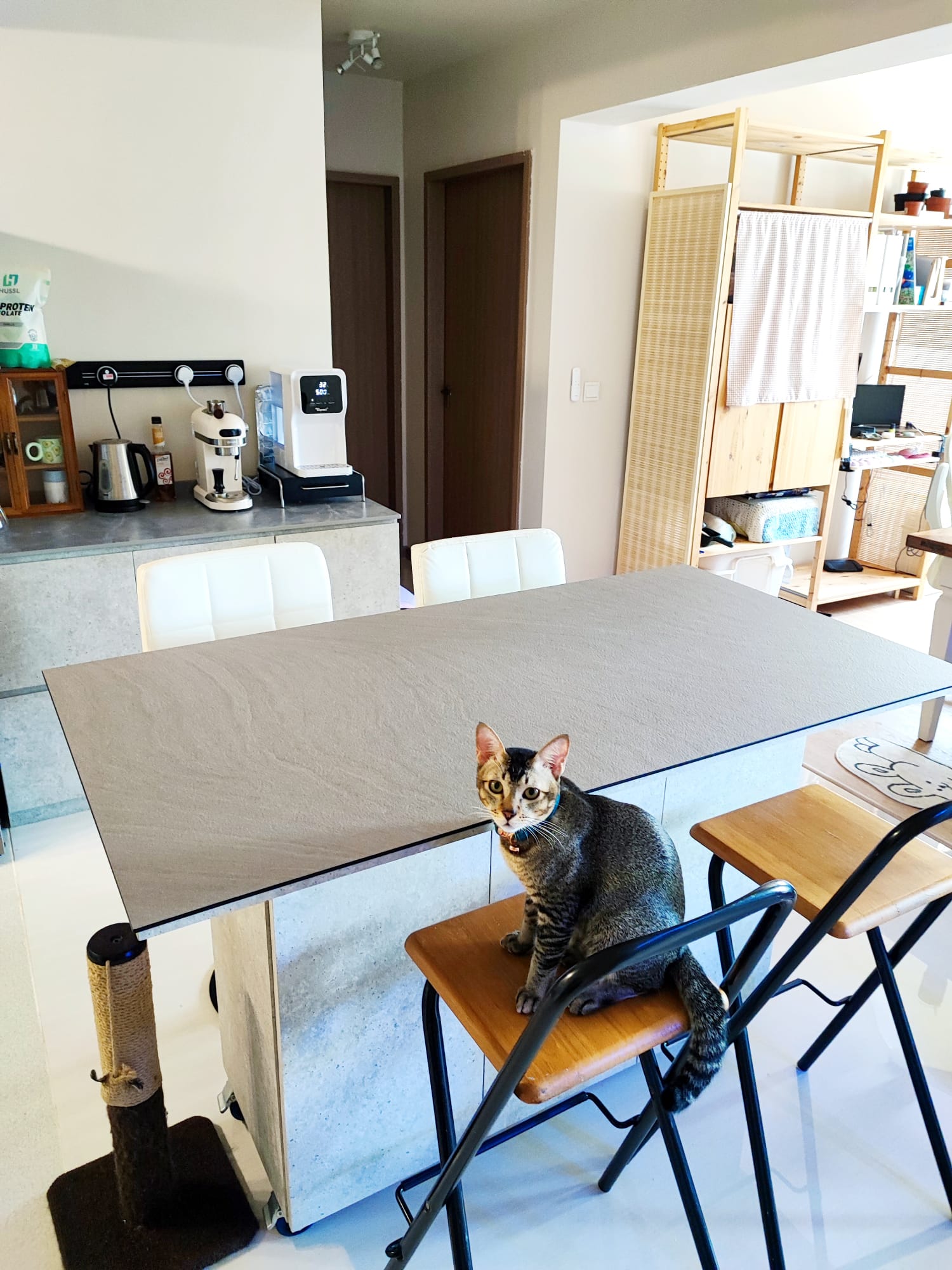 A multifunctional dining area, but on wheels! - modern kitchen, dining area, cat sitting, cozy room, minimalist design