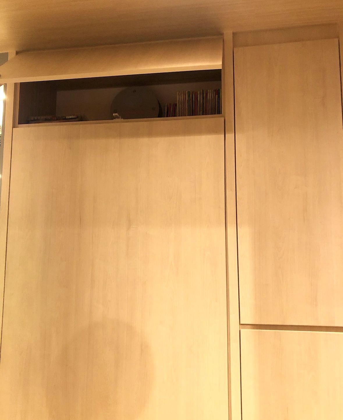 Secret Storage Spaces: The Collections Behind the Doors - Wooden cabinet, minimalist design, light beige finish, built-in