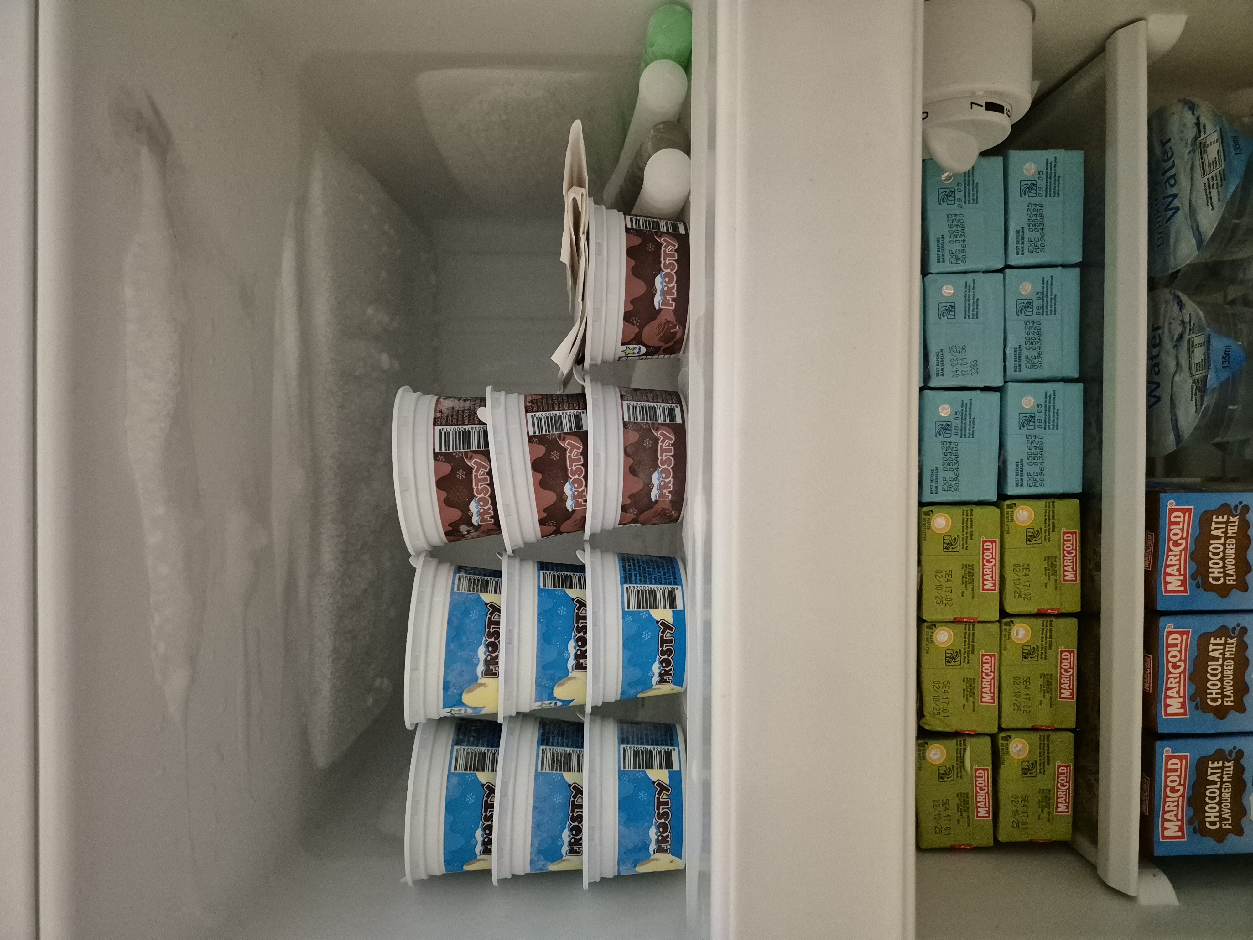 Hosting tips by punggoHField - ice cream containers, frozen treats, ice cube tray, milk cartons, chocolate milk, frozen