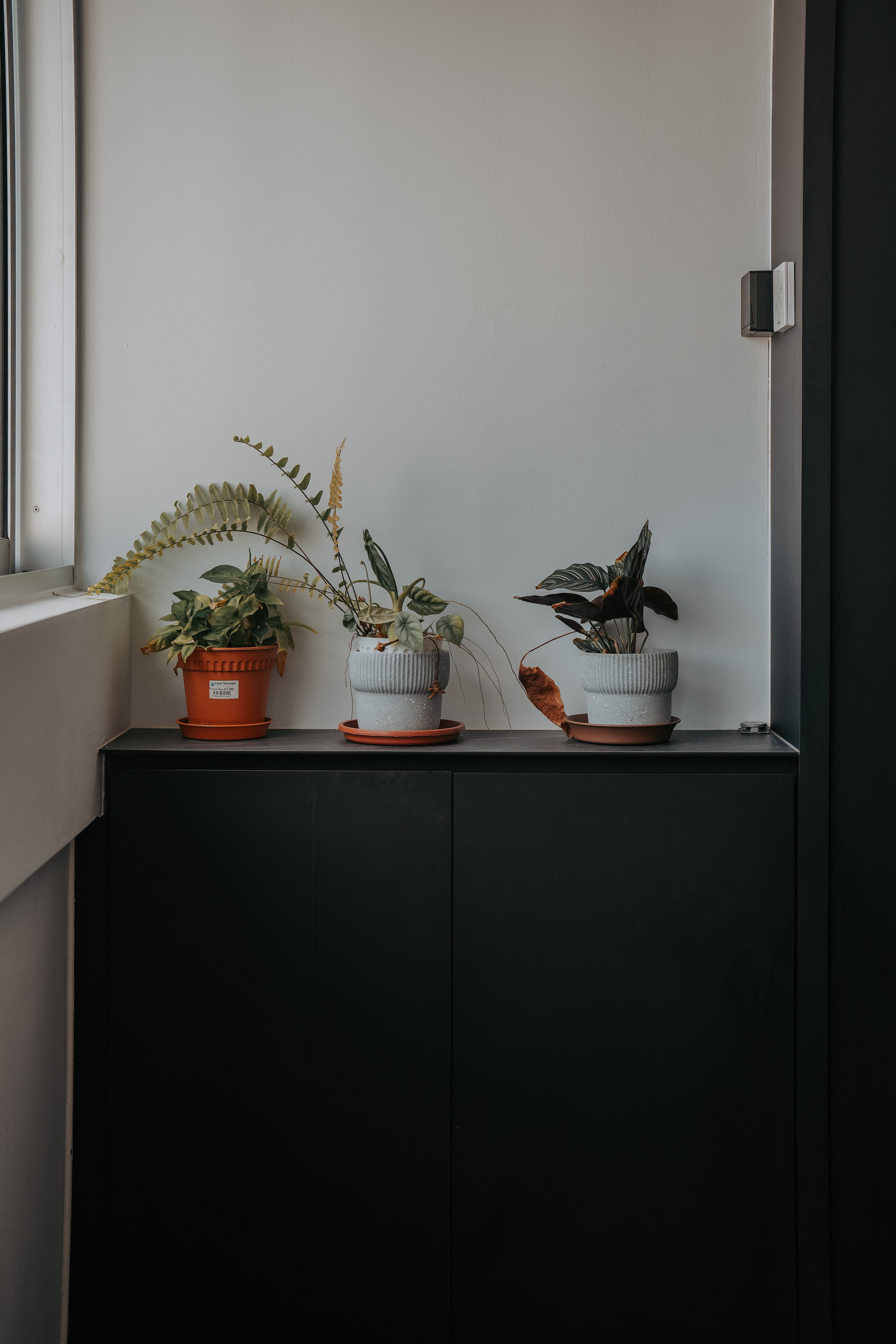 Take a walk in our modern, dark humble 4-room abode! - Modern indoor setting, minimalist design, white wall, black cabinet