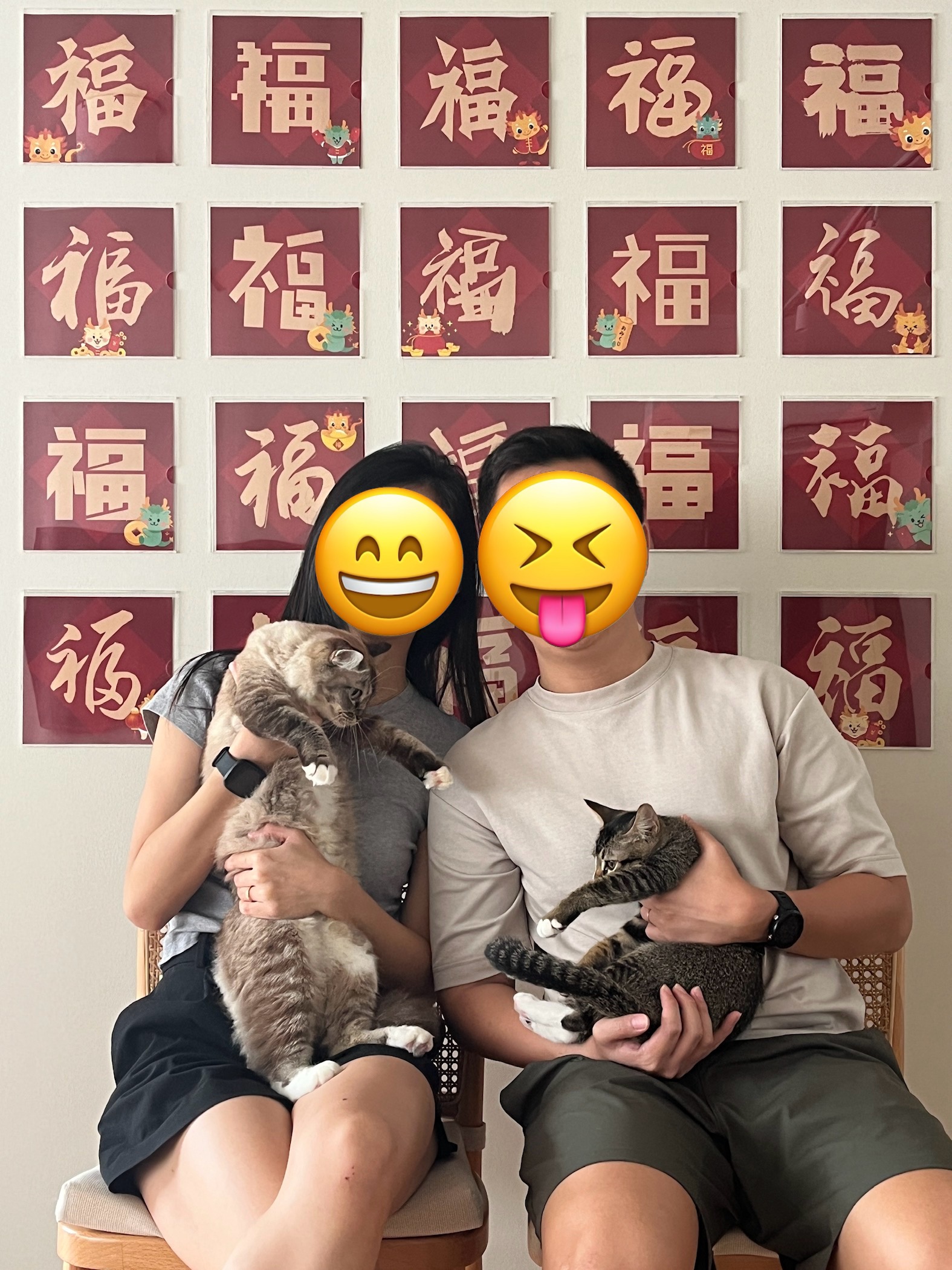 Home Styling: Tips to create a Cozy and Inviting Space - feline, cats, pets, smiling, playful, laughter, joy, happiness