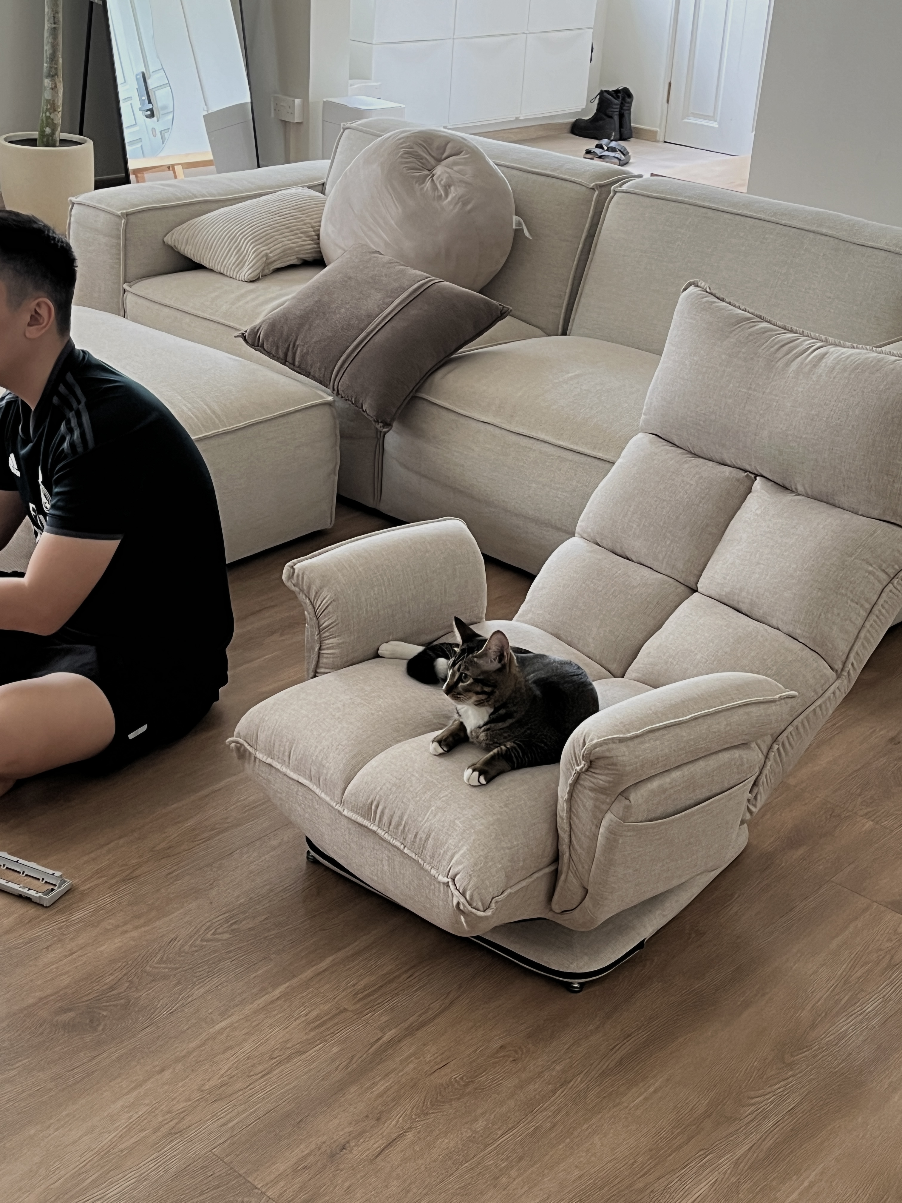 Home Styling: Tips to create a Cozy and Inviting Space - Modern minimalist living room, beige sectional sofa, cozy