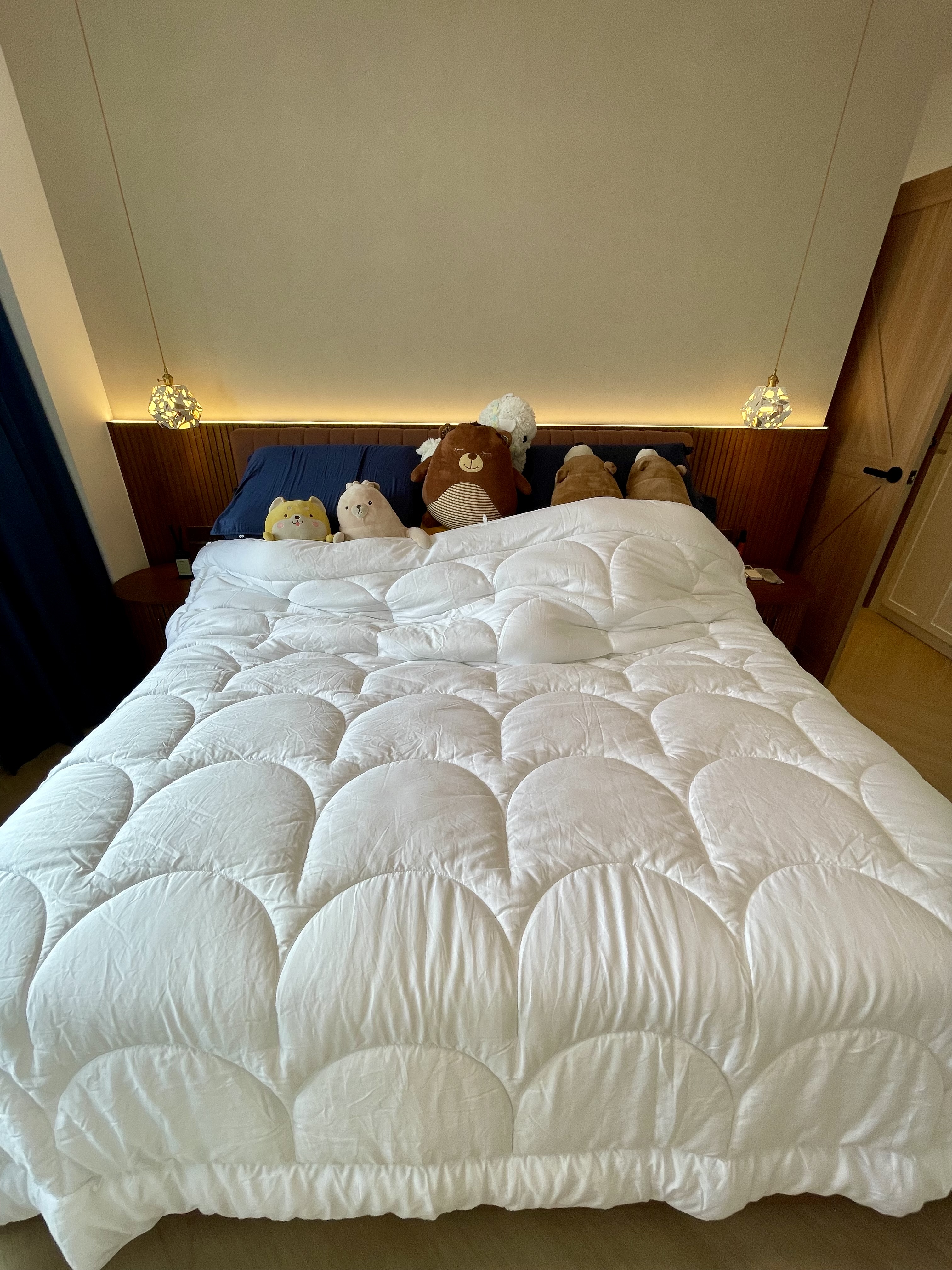 A Cosy Sanctuary: Our Slumber Haven With A Concealed Bathroom & Vanity - Comfortable, cozy, inviting, plush, soft, warm, cozy