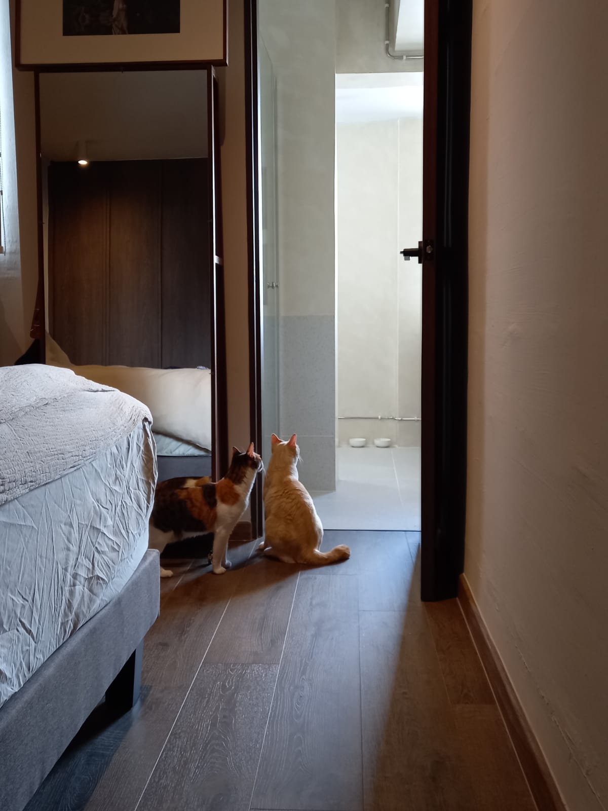 The-Body:-The-Bedroom-with-a-Mousehole-for-Cats!!!