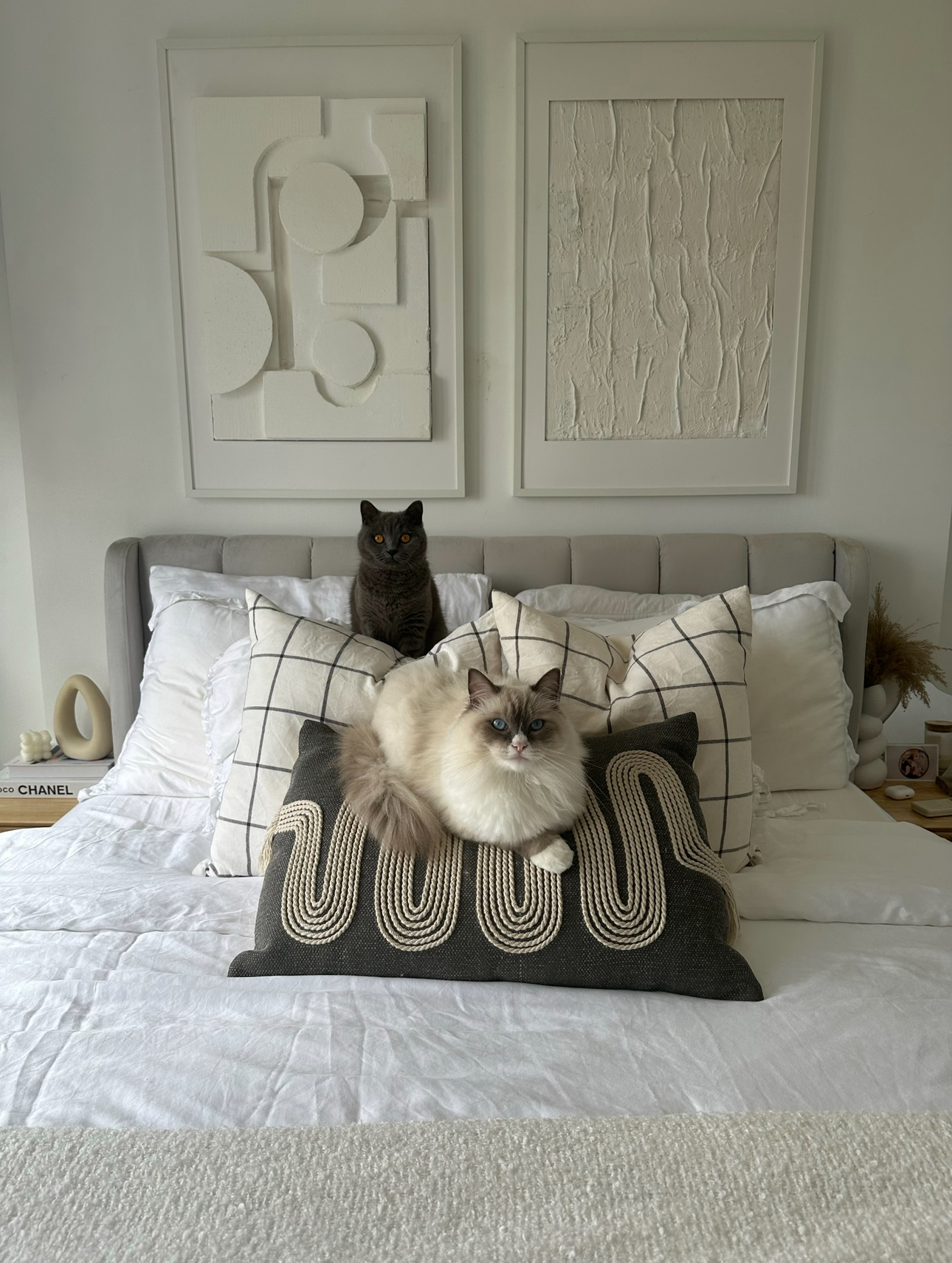 Our Bedroom: How We Changed It At Different Phases In Our Lives - modern bedroom, cozy bed, gray cat, fluffy white cat