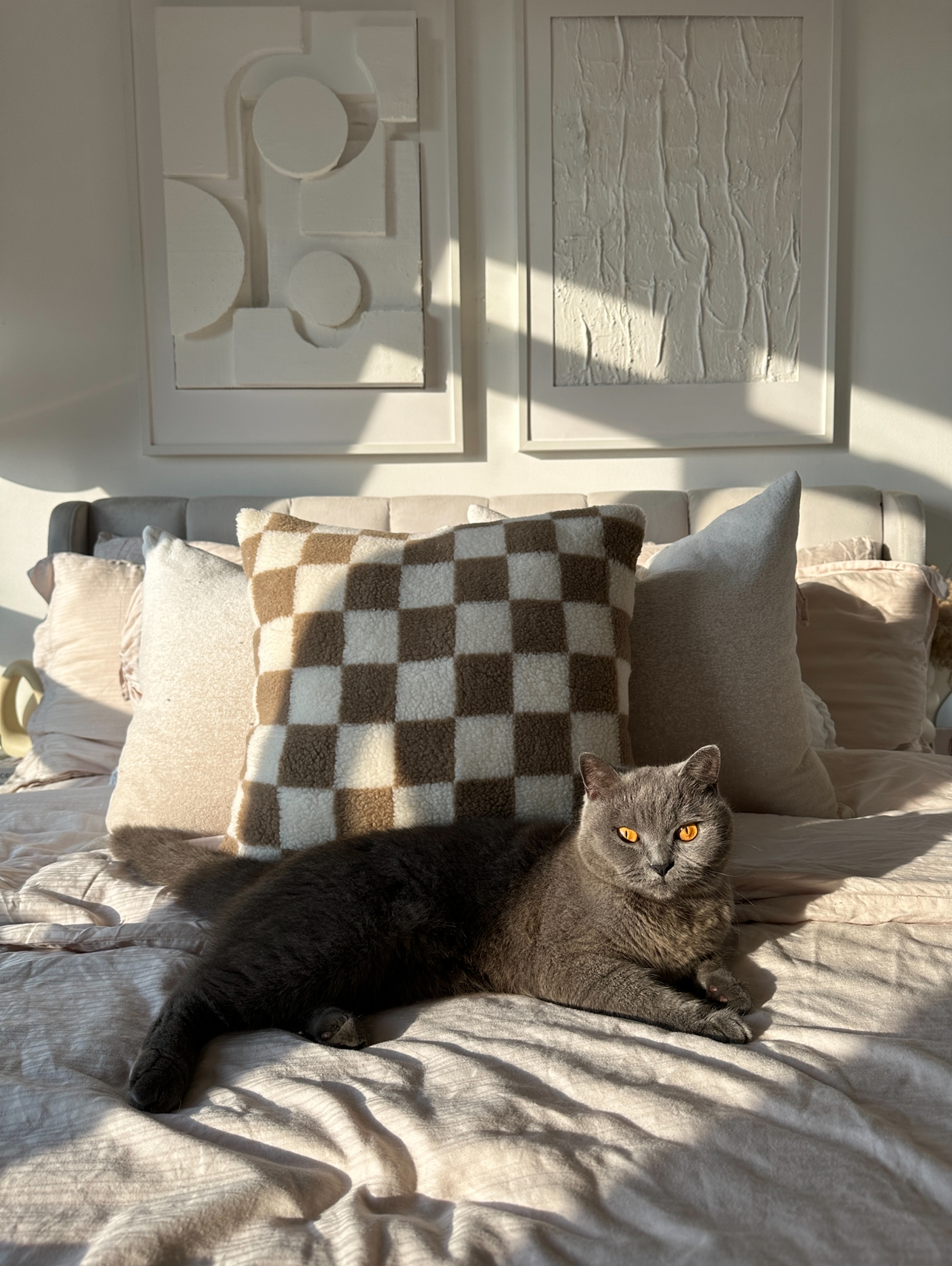Our Bedroom: How We Changed It At Different Phases In Our Lives - Sunlight streaming through the window, casting shadows on