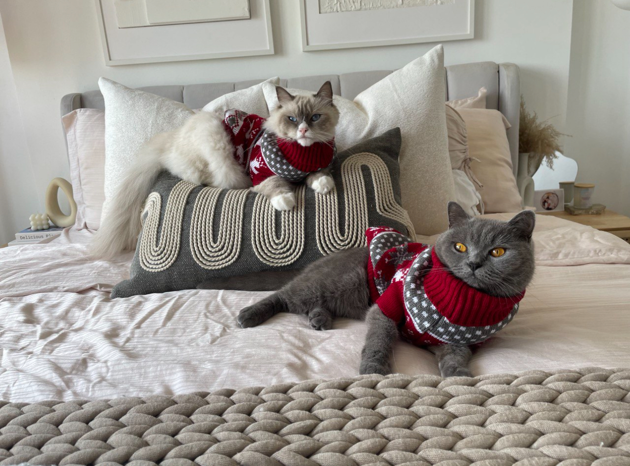Our Bedroom: How We Changed It At Different Phases In Our Lives - Two cats wearing festive red sweaters with white patterns
