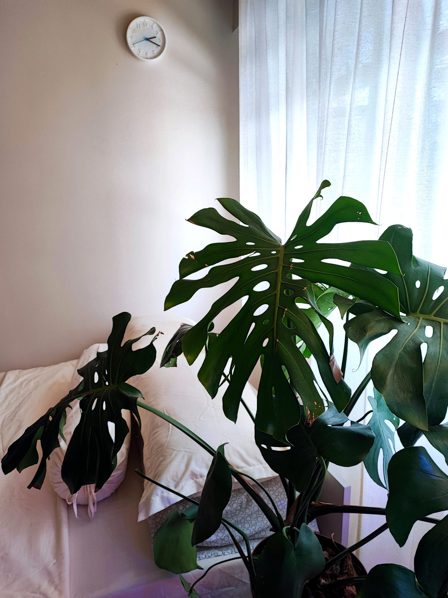 Maximizing-flexibility:-Minimal-cosy-bedroom-with-no-built-ins