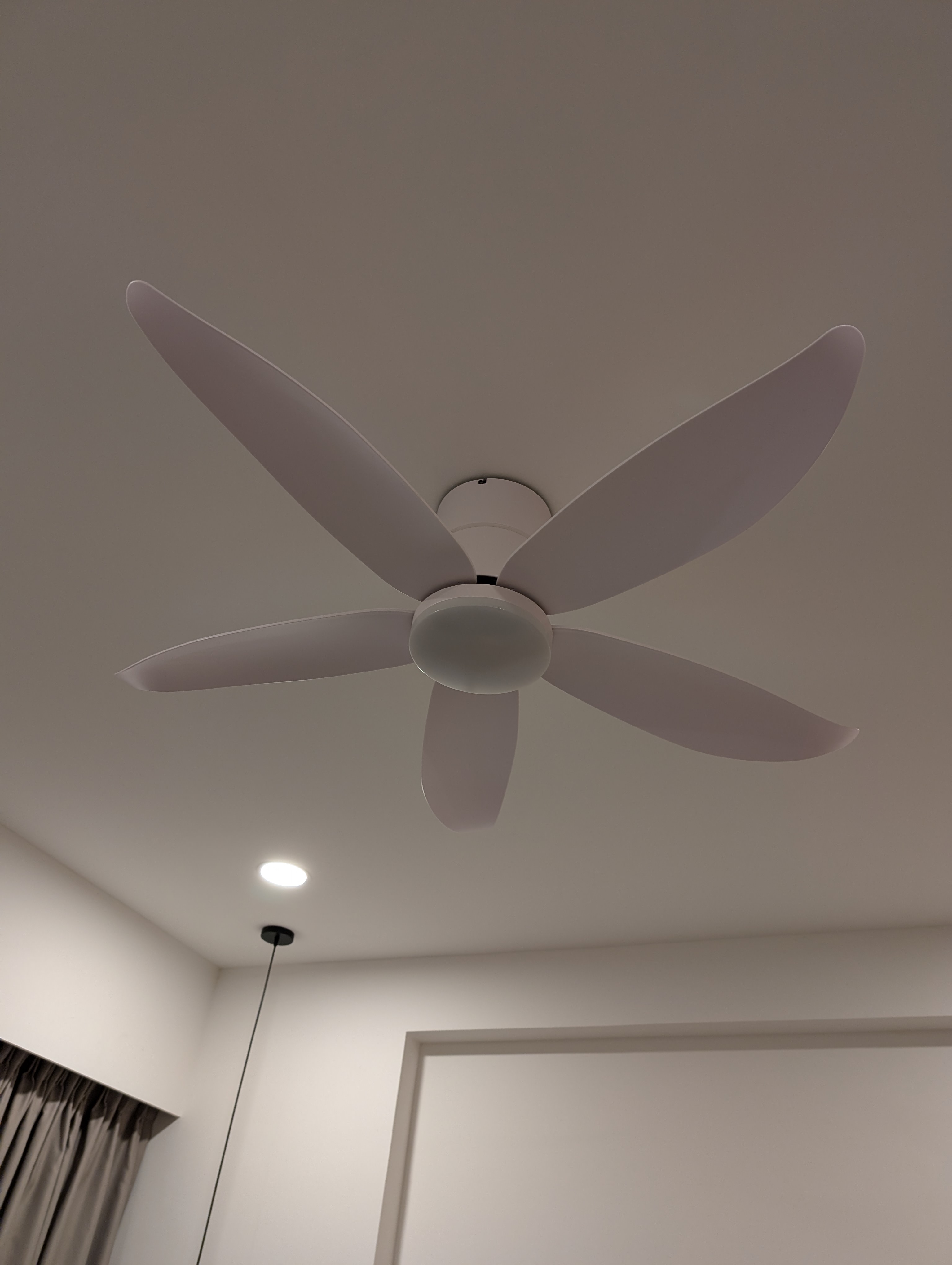 Spending the night with some curves 🍑 - Ceiling fan, ceiling, light fixture, ceiling fan blades, ceiling light, ceiling fan