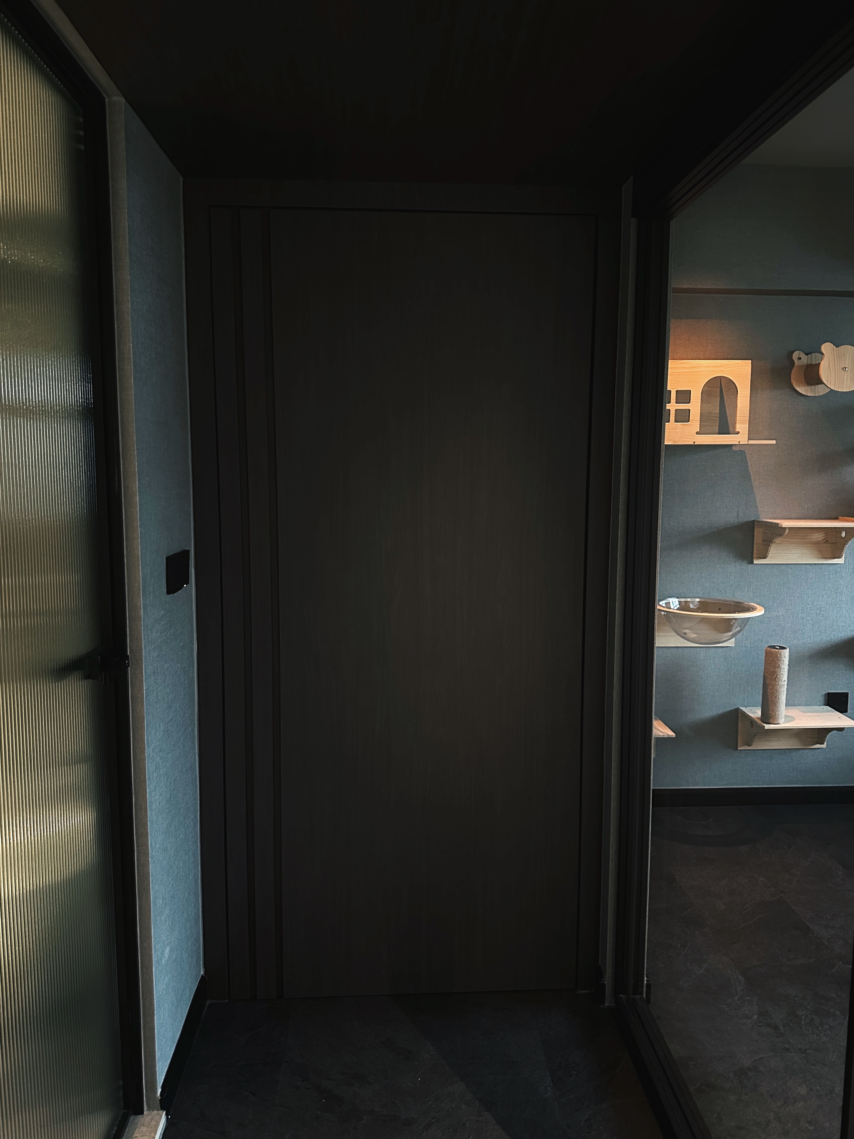 Finding Comfort: A Glimpse into Our Cozy and Minimalist Bedroom - Dark hallway, modern design, minimalist decor, wooden