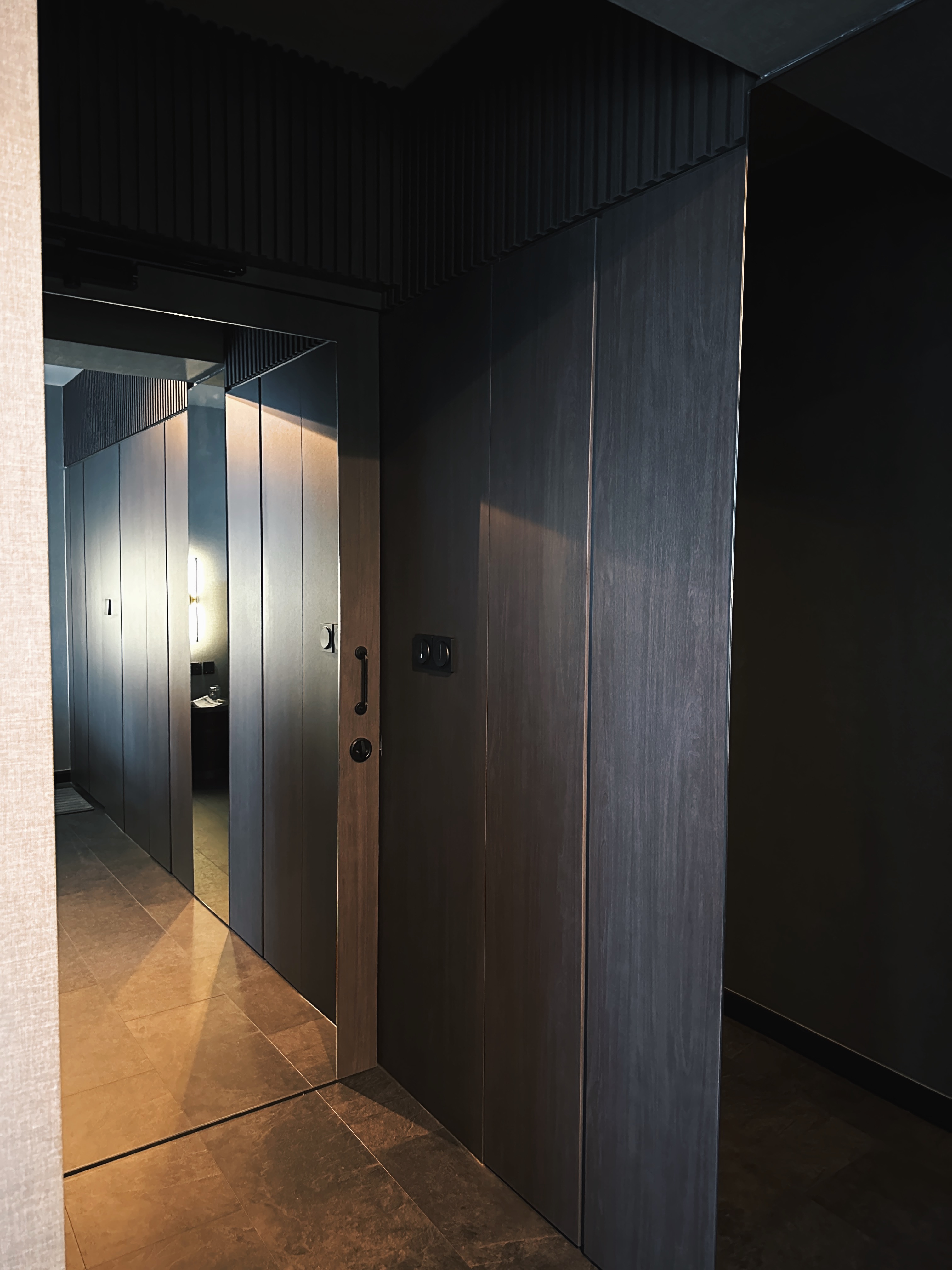 Finding Comfort: A Glimpse into Our Cozy and Minimalist Bedroom - Modern minimalist hallway, sleek dark wooden doors