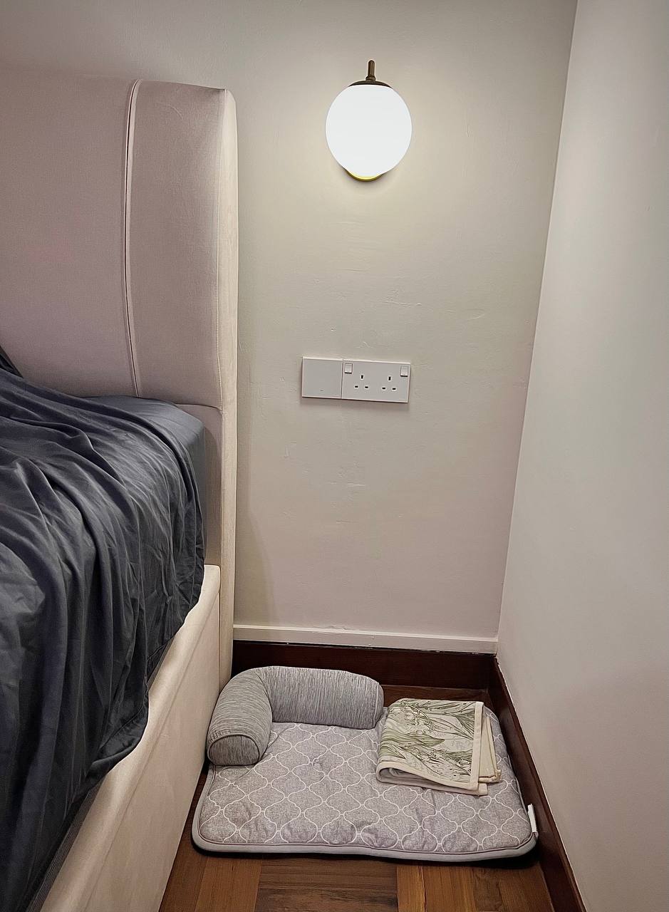 Our minimalistic bedroom - Bed with dark blue bedding, beige headboard, wall-mounted light fixture, wooden floor, cushioned