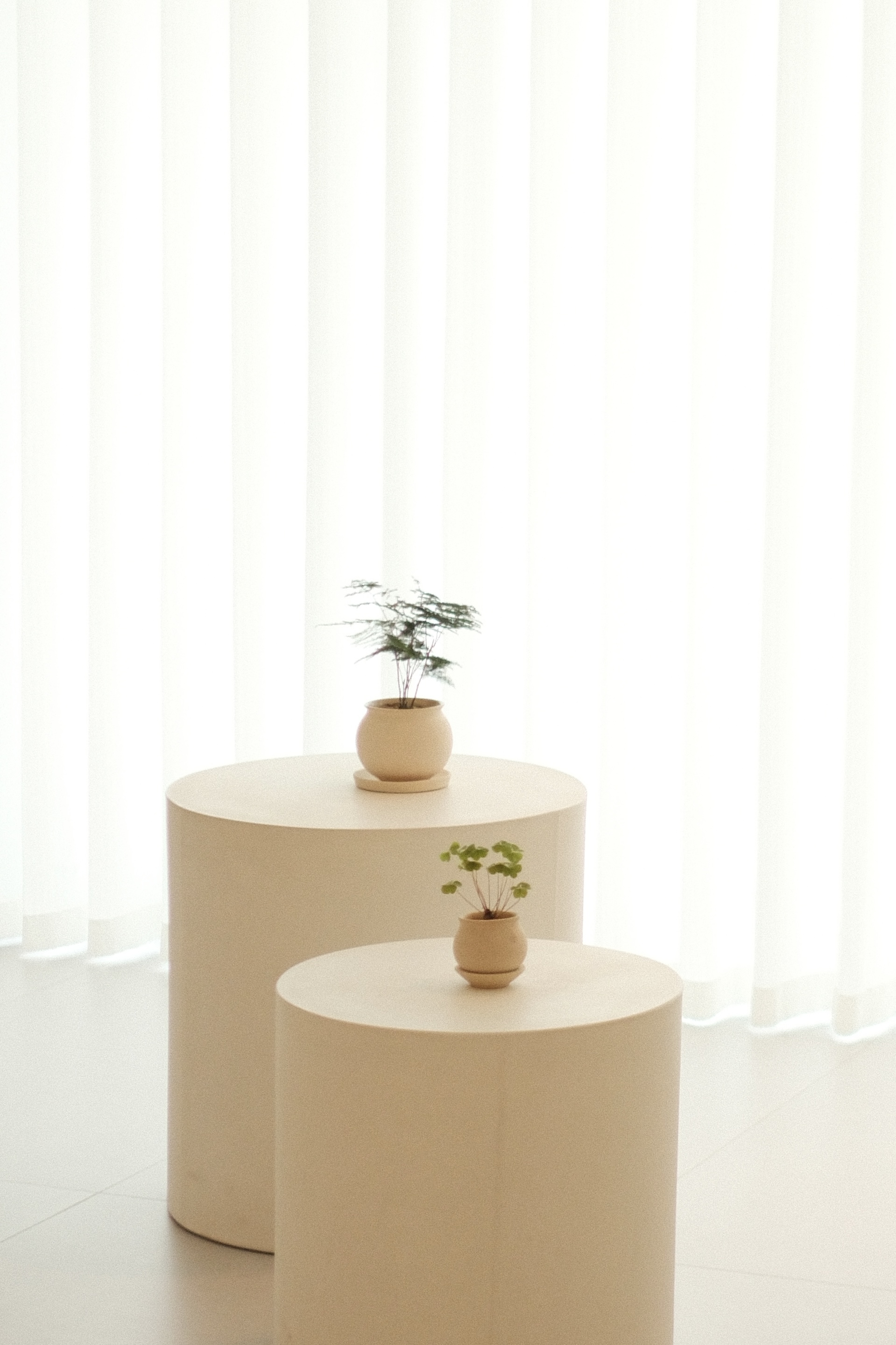 Bloom Where You Are Planted - White, minimalist, modern, serene, natural, soft lighting, vertical, cylindrical, clean lines