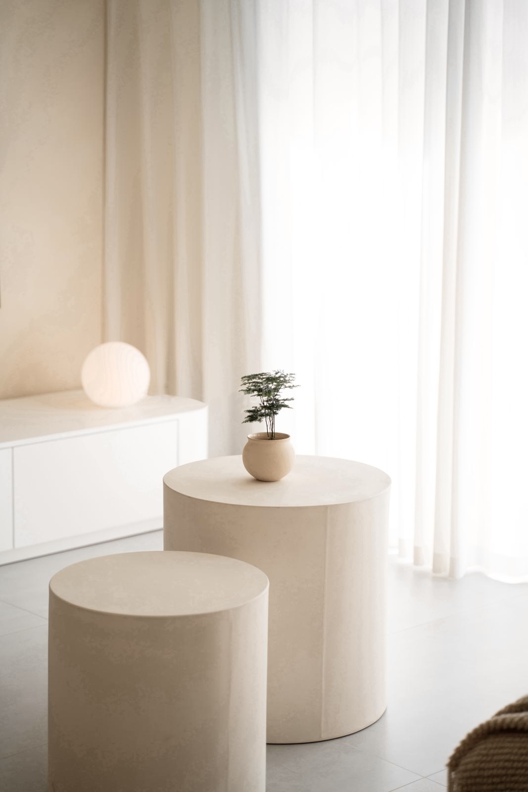 Bloom Where You Are Planted - Soft, minimalist room, natural light streaming, cream-colored furniture, round tables, potted