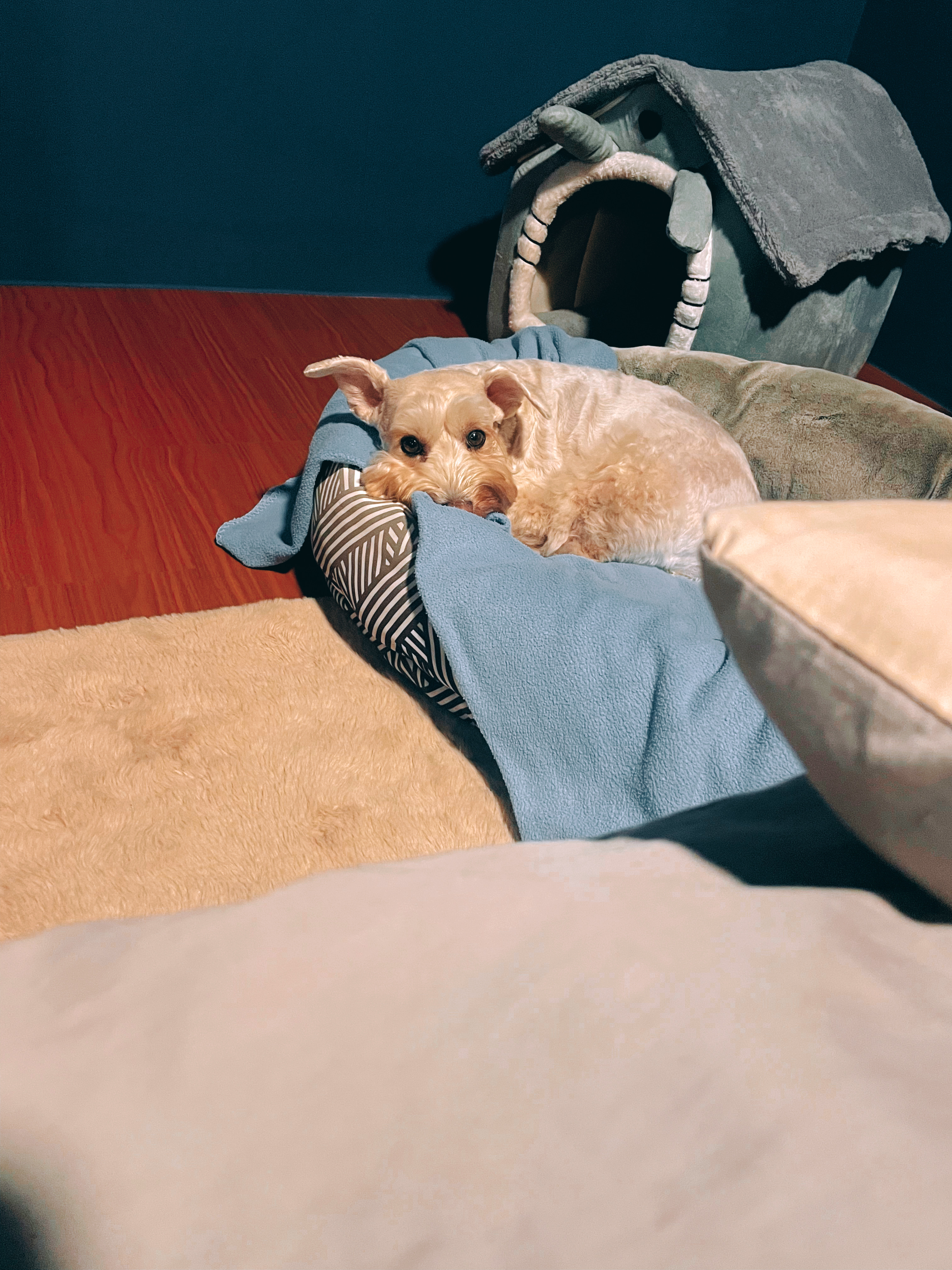 The-Perfect-Mistake:-How-a-Wrong-Sized-Bedframe-Completed-Our-Space