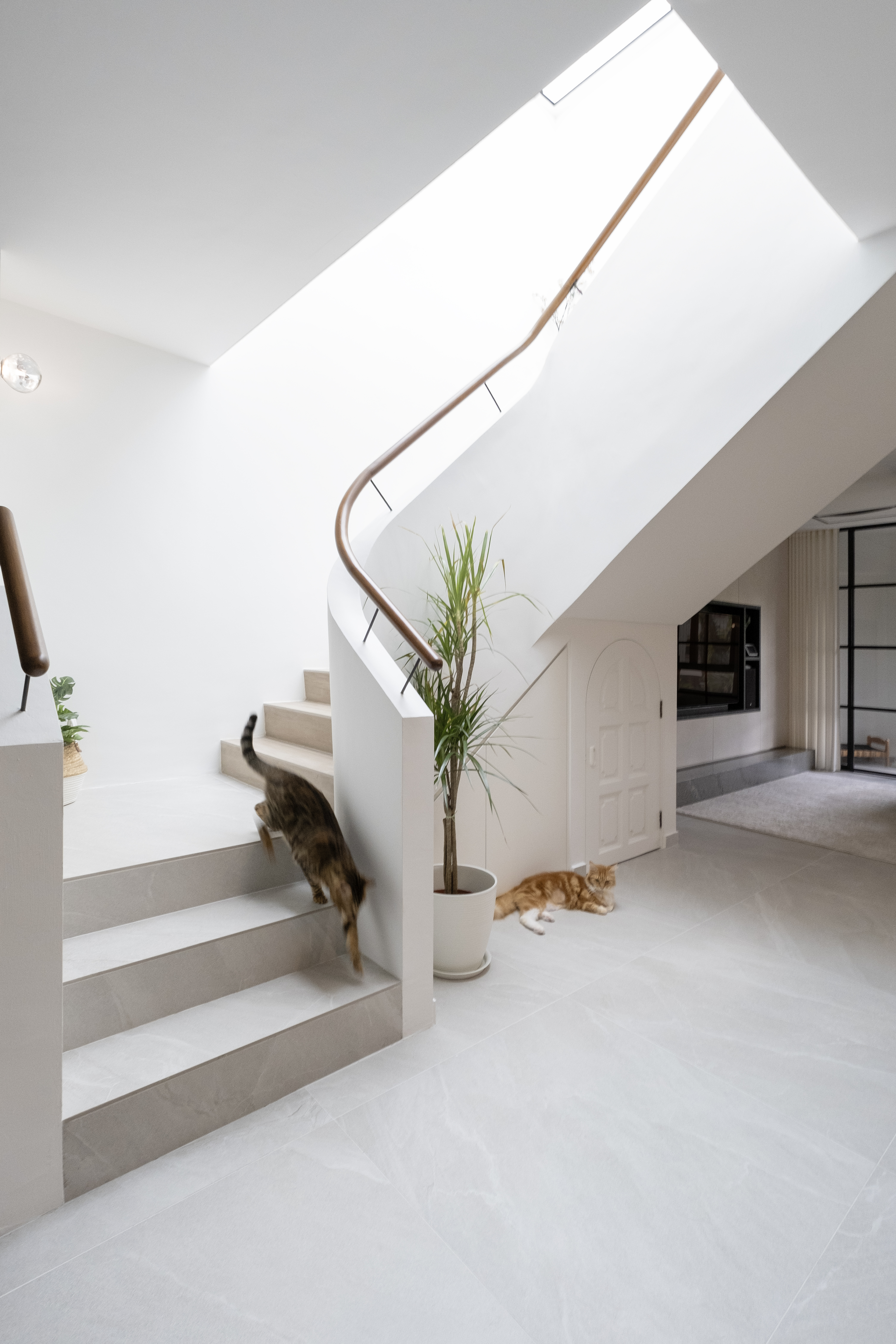 Inside a 300k Reno Modern Gallery-Inspired Maisonette - Modern minimalist interior, cat climbing stairs, white marble floor