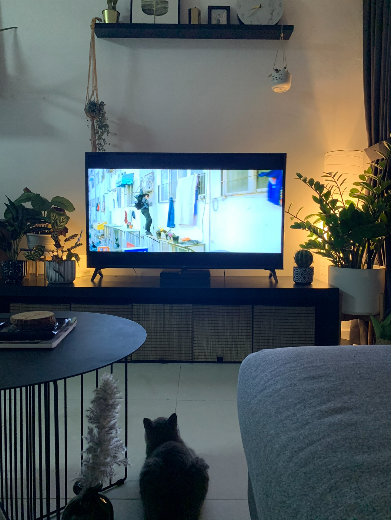 Bright And Airy Living Room: With Zero Reno Or Built-In, Only Styling! - dimly lit room, TV on, man on balcony, potted