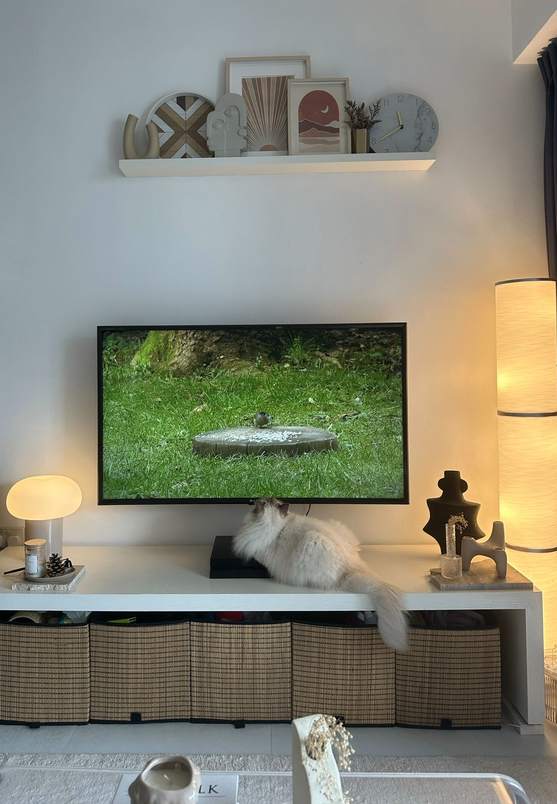Bright And Airy Living Room: With Zero Reno Or Built-In, Only Styling! - White cat, fluffy fur, sitting on TV stand, watching