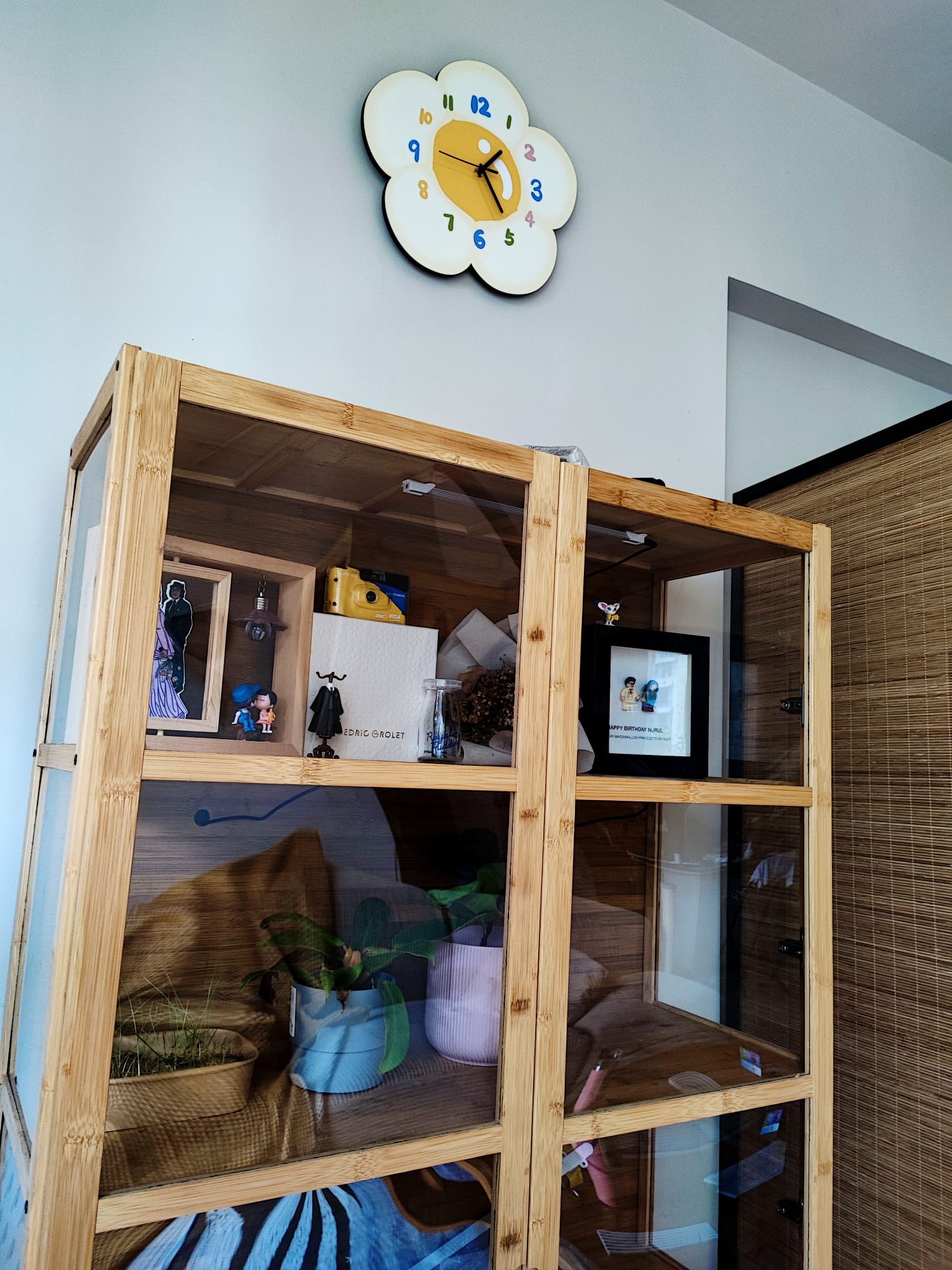 Purrfect Harmony: A living room for cats and their humans - Wooden shelf, glass doors, indoor plant, blue pot, potted plant