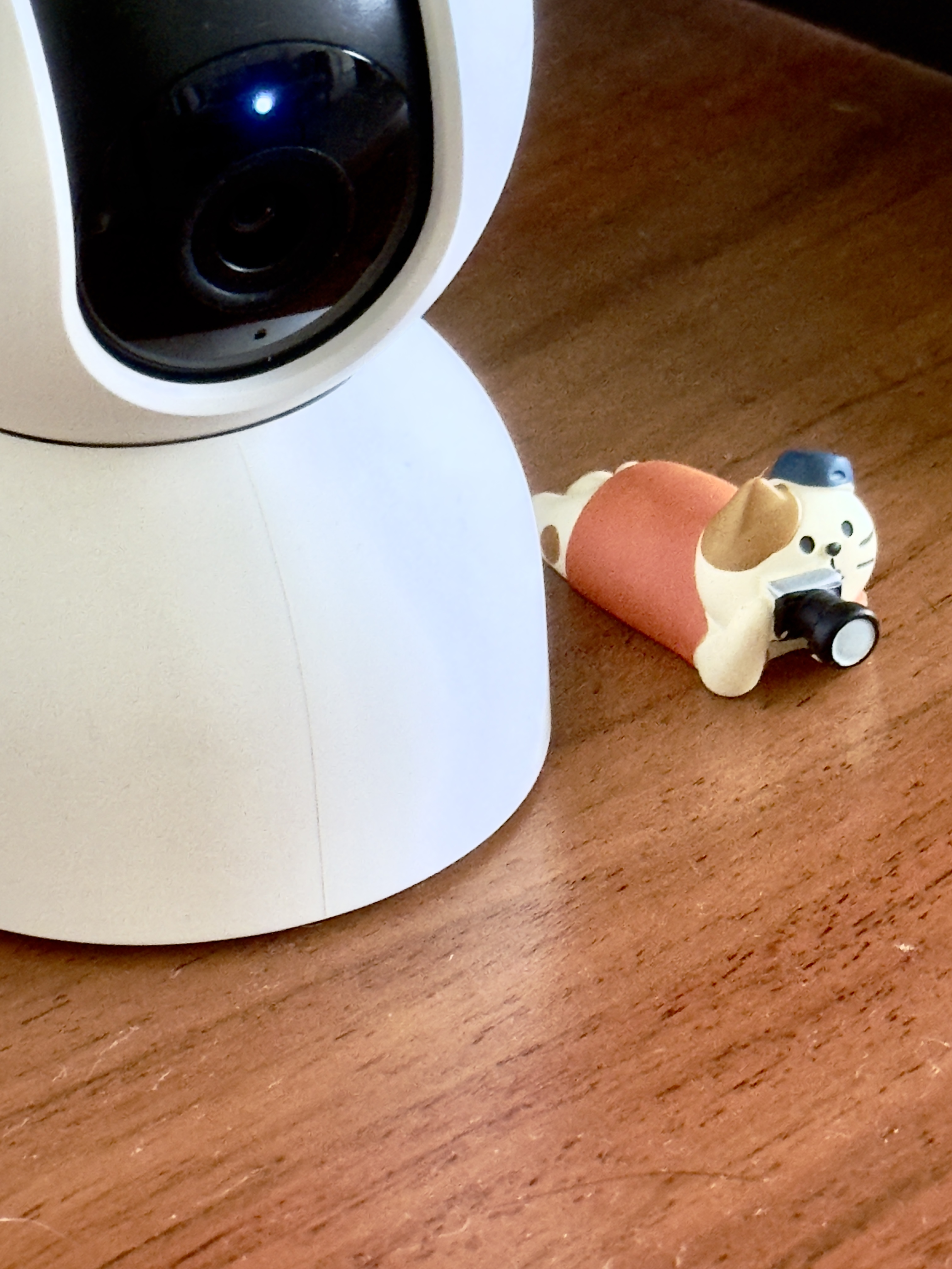 Blending secondhand and contemporary pieces in our Living Room - Smart camera on wooden table, cat figurine beside, small