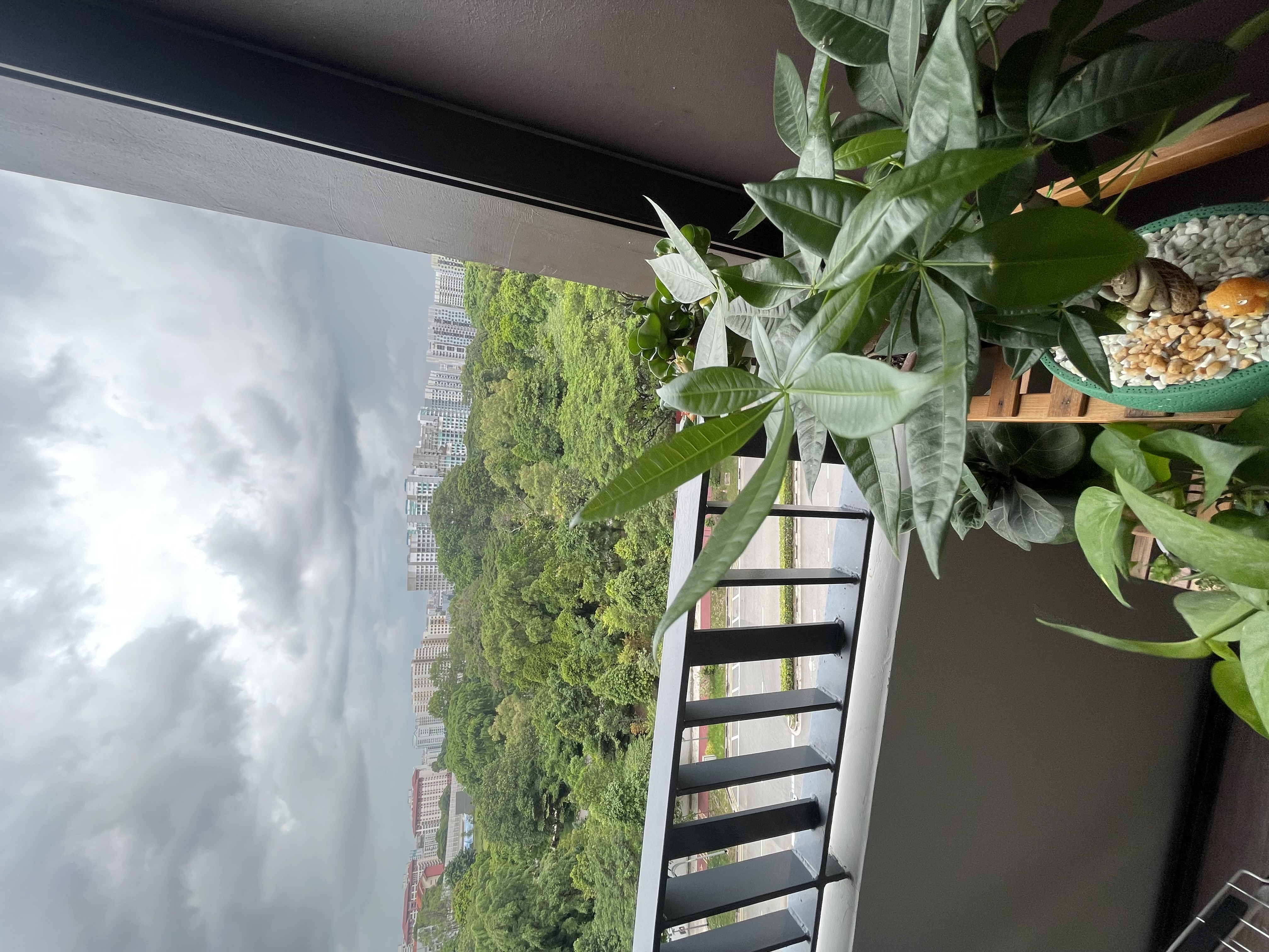 Our Japandi Lounge: A Blend Of Limewash Walls And Curved Fluted Panels - Green plants, balcony railing, cloudy sky, urban