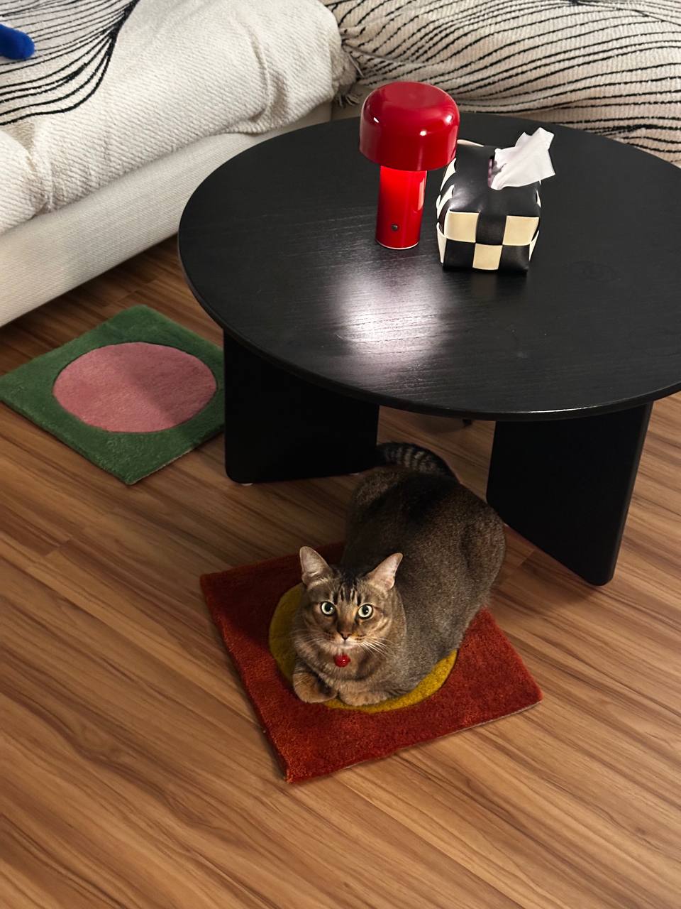 How we style a living room with no built ins!  - Cute tabby cat with striking green eyes, sitting on a red and yellow
