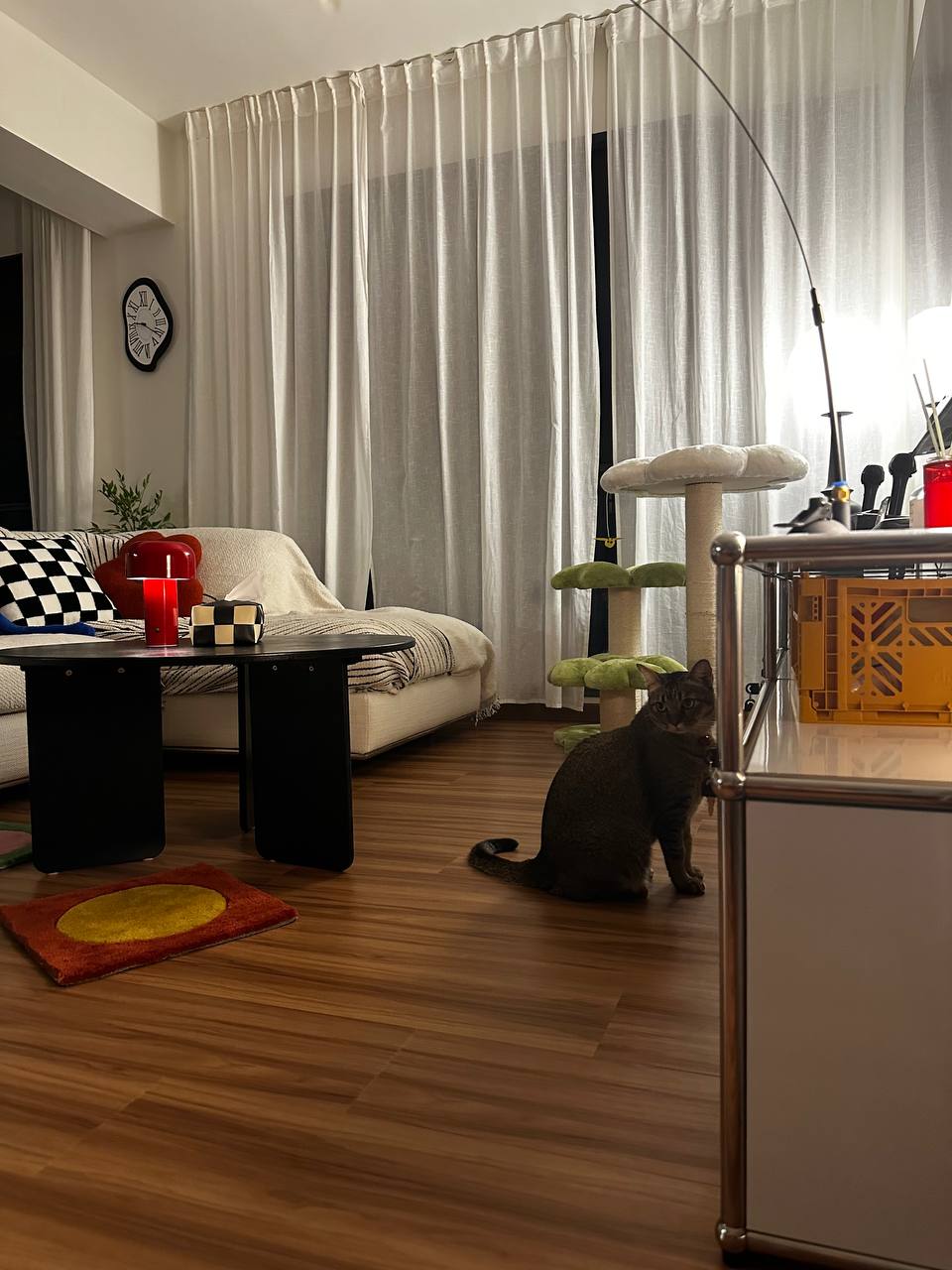 How we style a living room with no built ins!  - Modern living room with cozy sofa, black coffee table, colorful throw