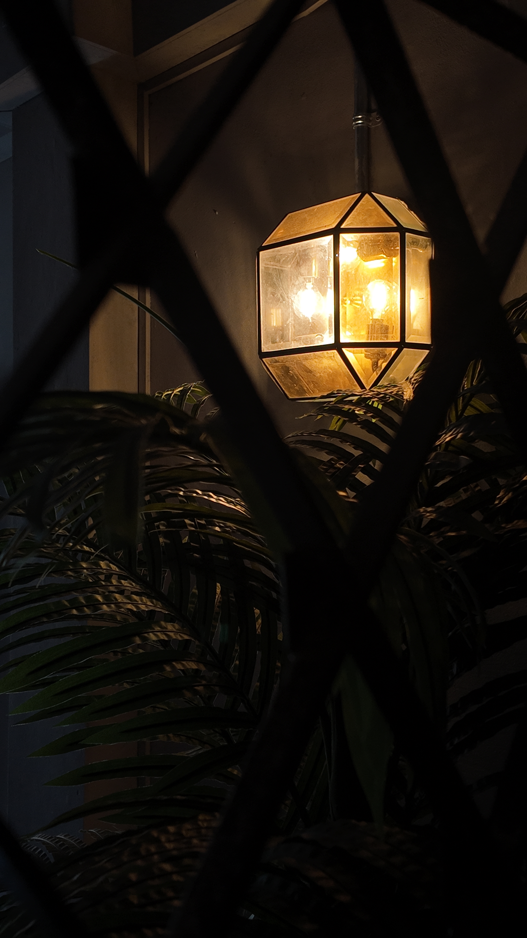 Living within the past and modern - hexagonal lantern, warm glow, indoor setting, dimly lit, plant foliage, green leaves