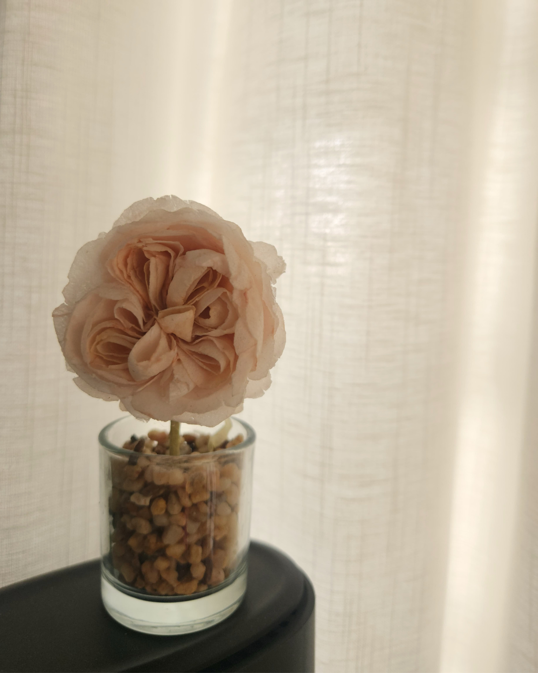 Our Top 3 Entryway Highlights: Function, Style & Personal Touches - Soft, pale pink rose, delicate petals, blooming in glass