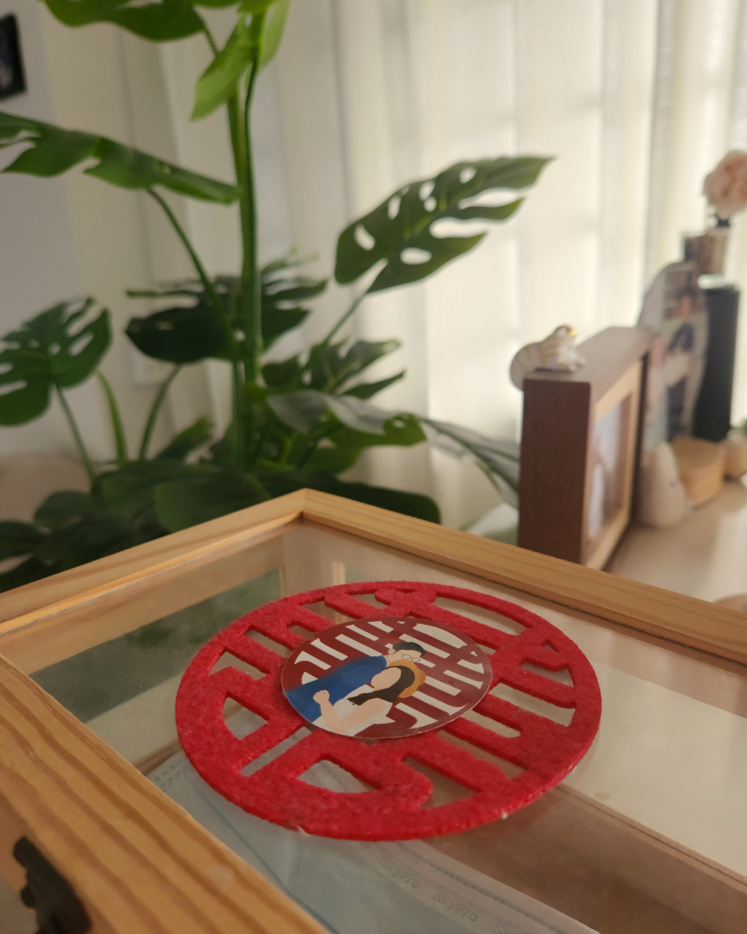 Our Top 3 Entryway Highlights: Function, Style & Personal Touches - vibrant green plant, soft light, indoor setting, wooden