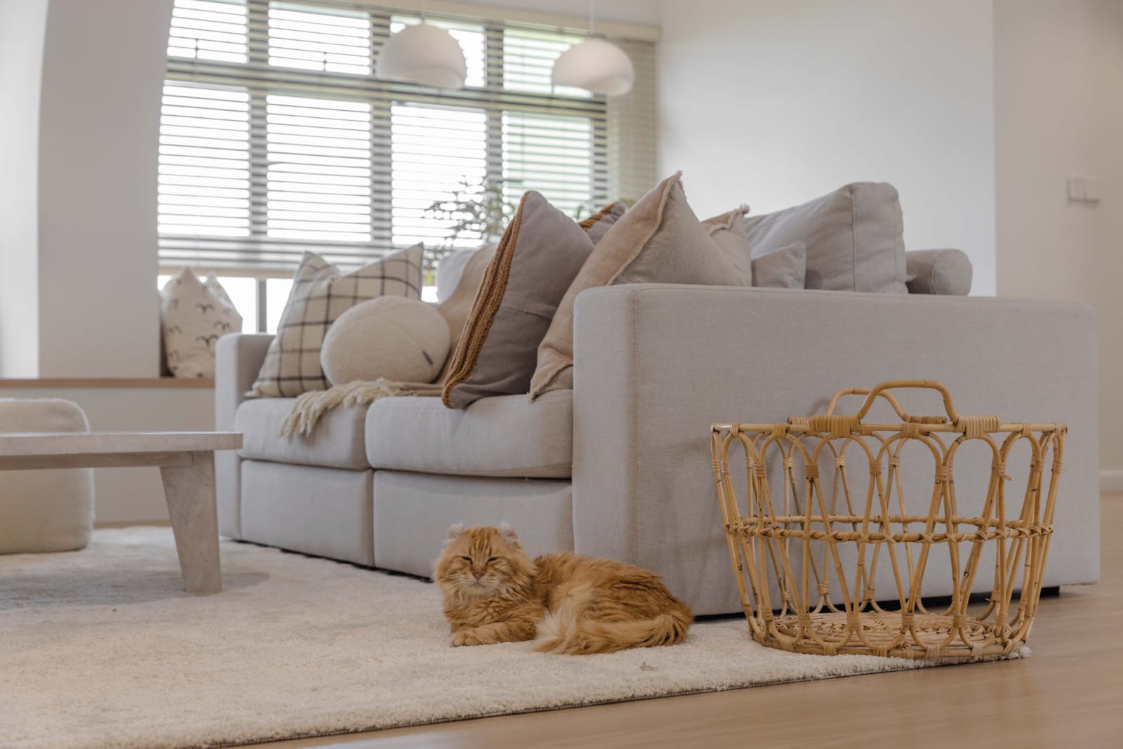 Our Living Room: Bright, Soft, and Beautifully Airy - Light-filled living room with modern design, beige sofa, plush