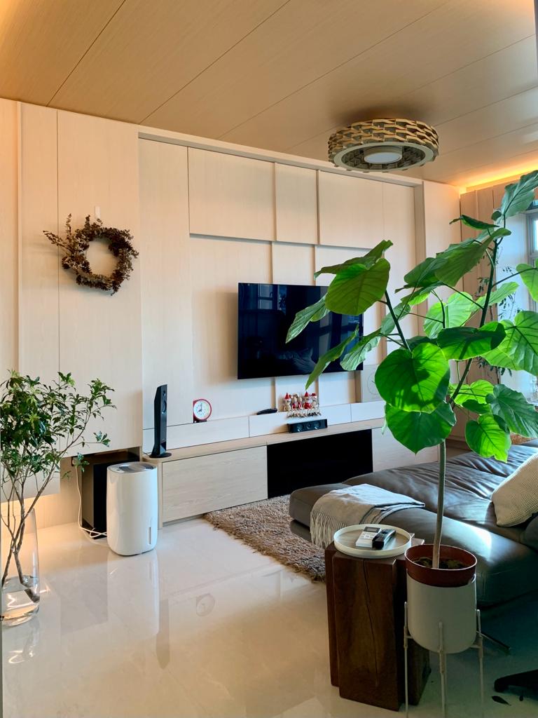 Secret Spaces: Unveiling Peek-a-Boo Hidden Storage Around Our House!  - Modern living room, minimalist design, sleek