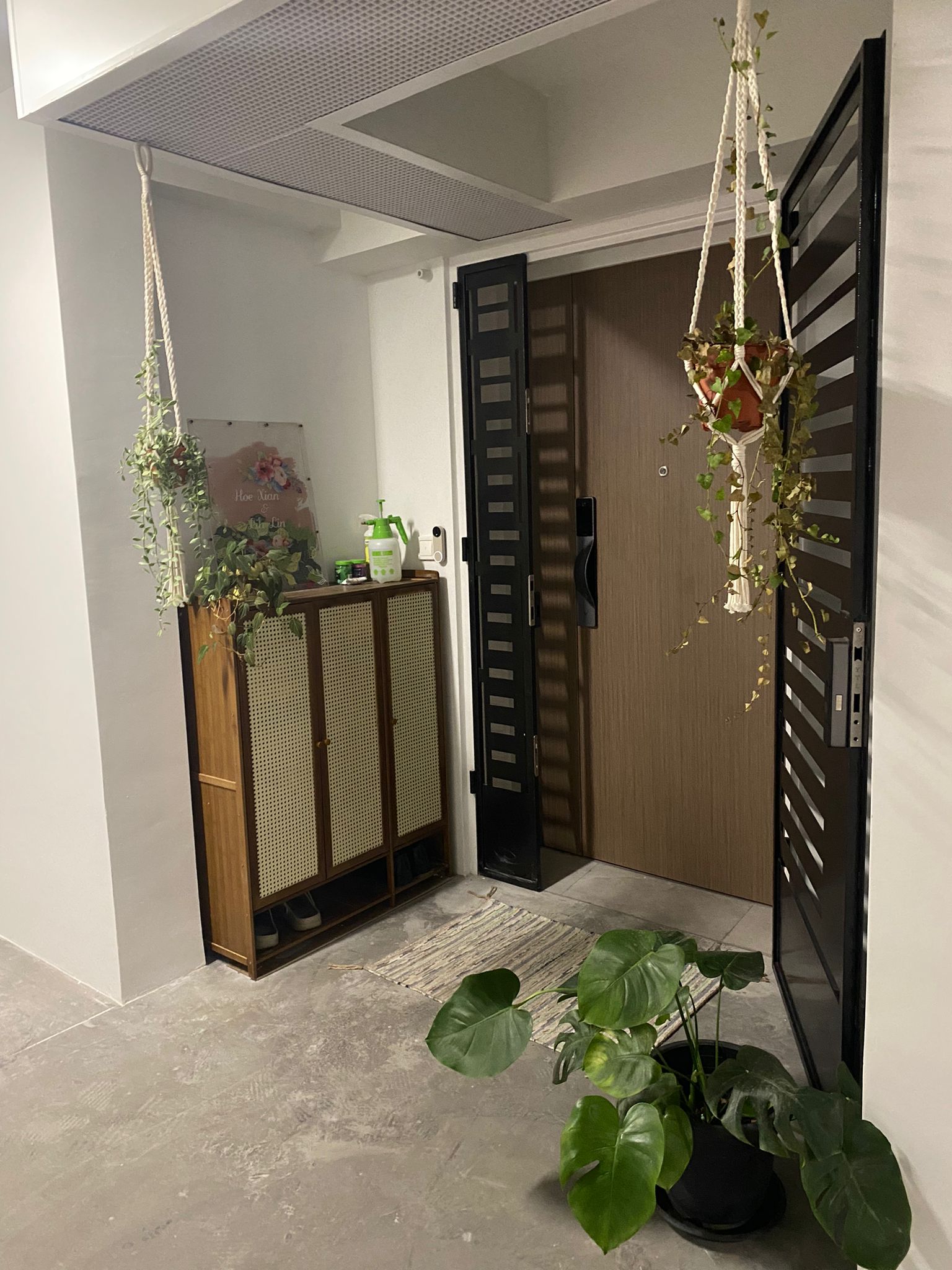 An entrance to an enchanting home, sets tone for guests - Hanging plants, modern interior, minimalist decor, wooden cabinet