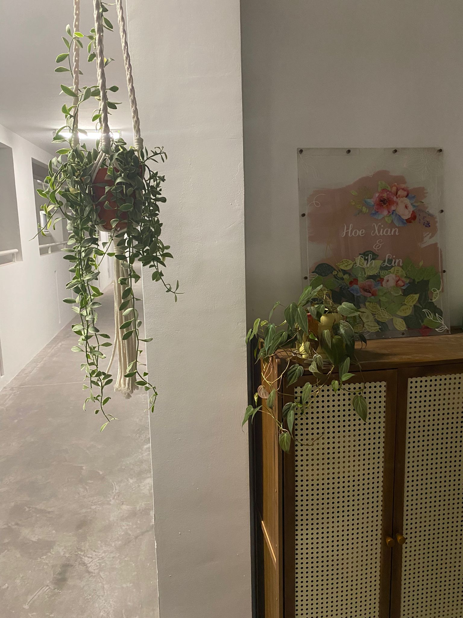 An entrance to an enchanting home, sets tone for guests - Hanging plant with trailing vines, white rope, hanging pot, green