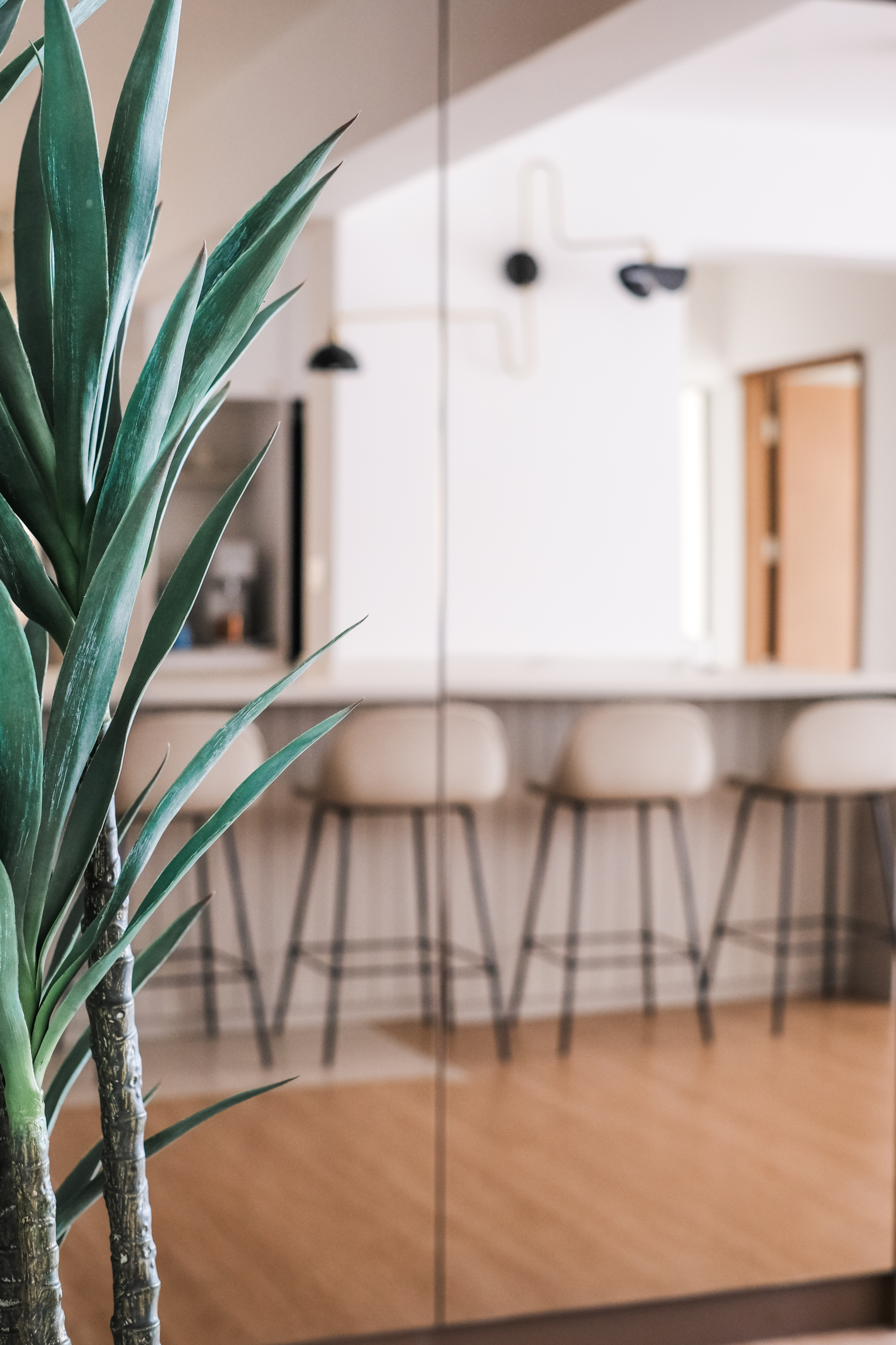 Inviting Entryway to a Spacious Open-Concept Home - succulent green plant, indoor plant, modern interior, minimalist decor