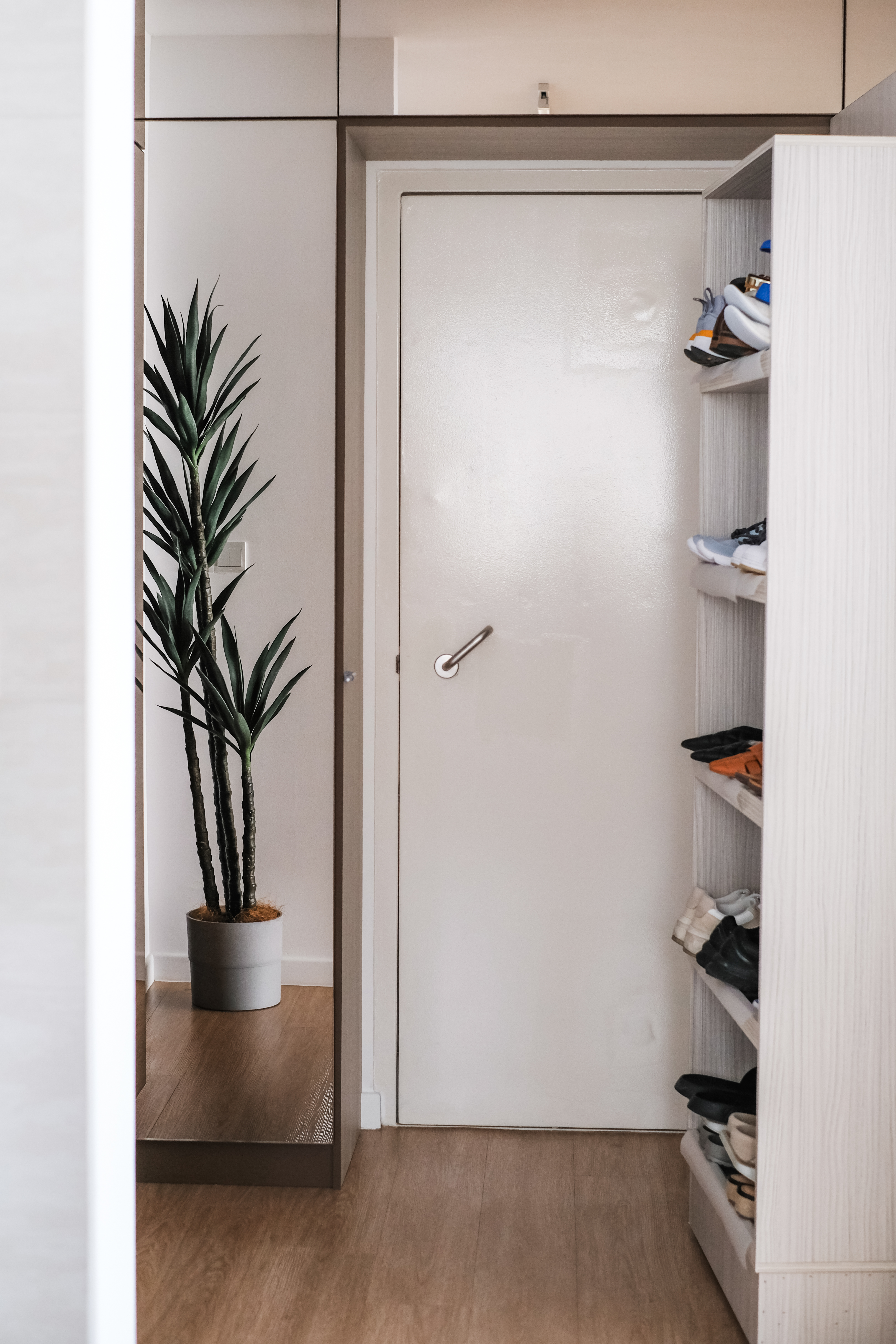 Inviting Entryway to a Spacious Open-Concept Home - Shelf with shoes, indoor plant, wooden floor, white door, minimalist