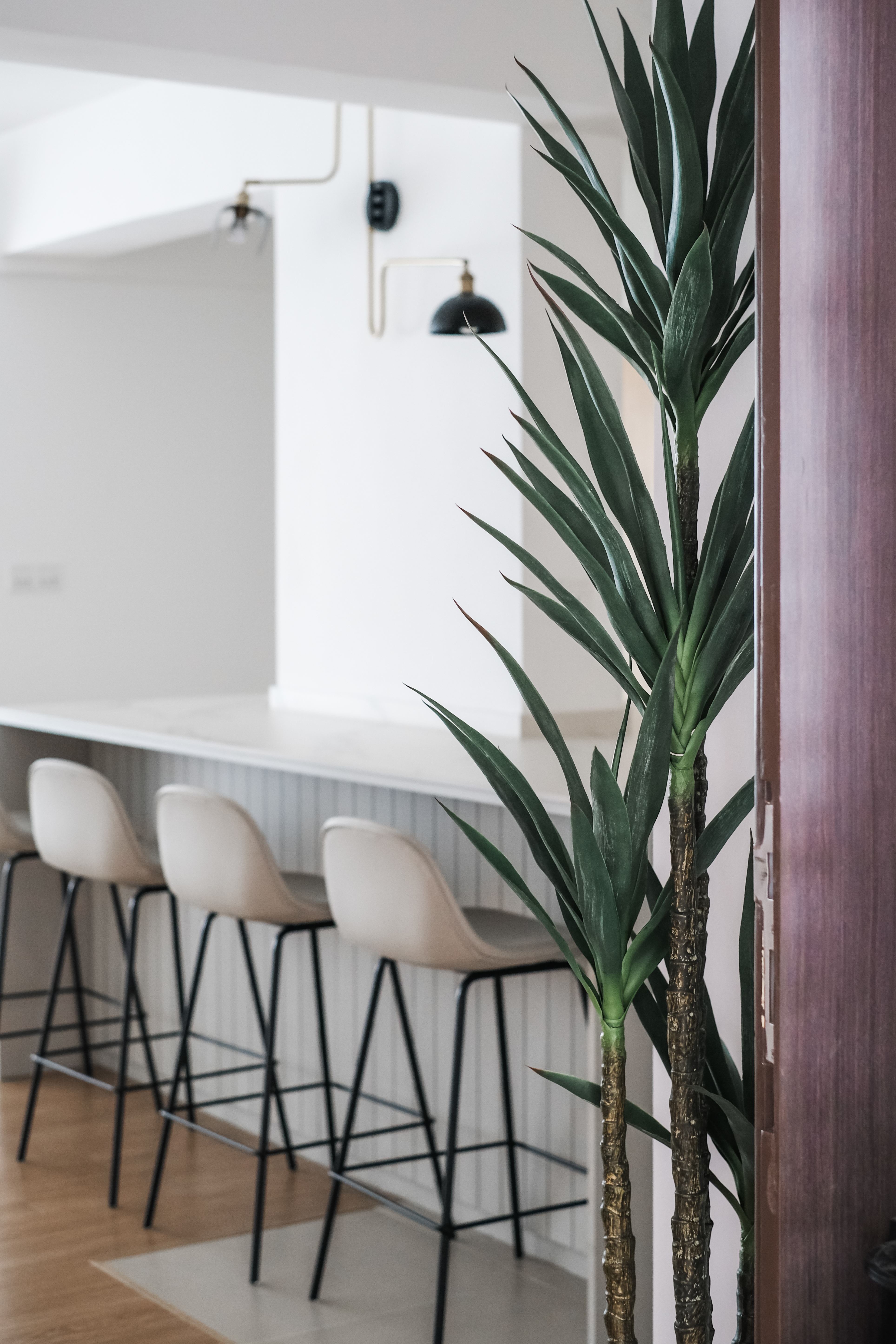 Inviting-Entryway-to-a-Spacious-Open-Concept-Home