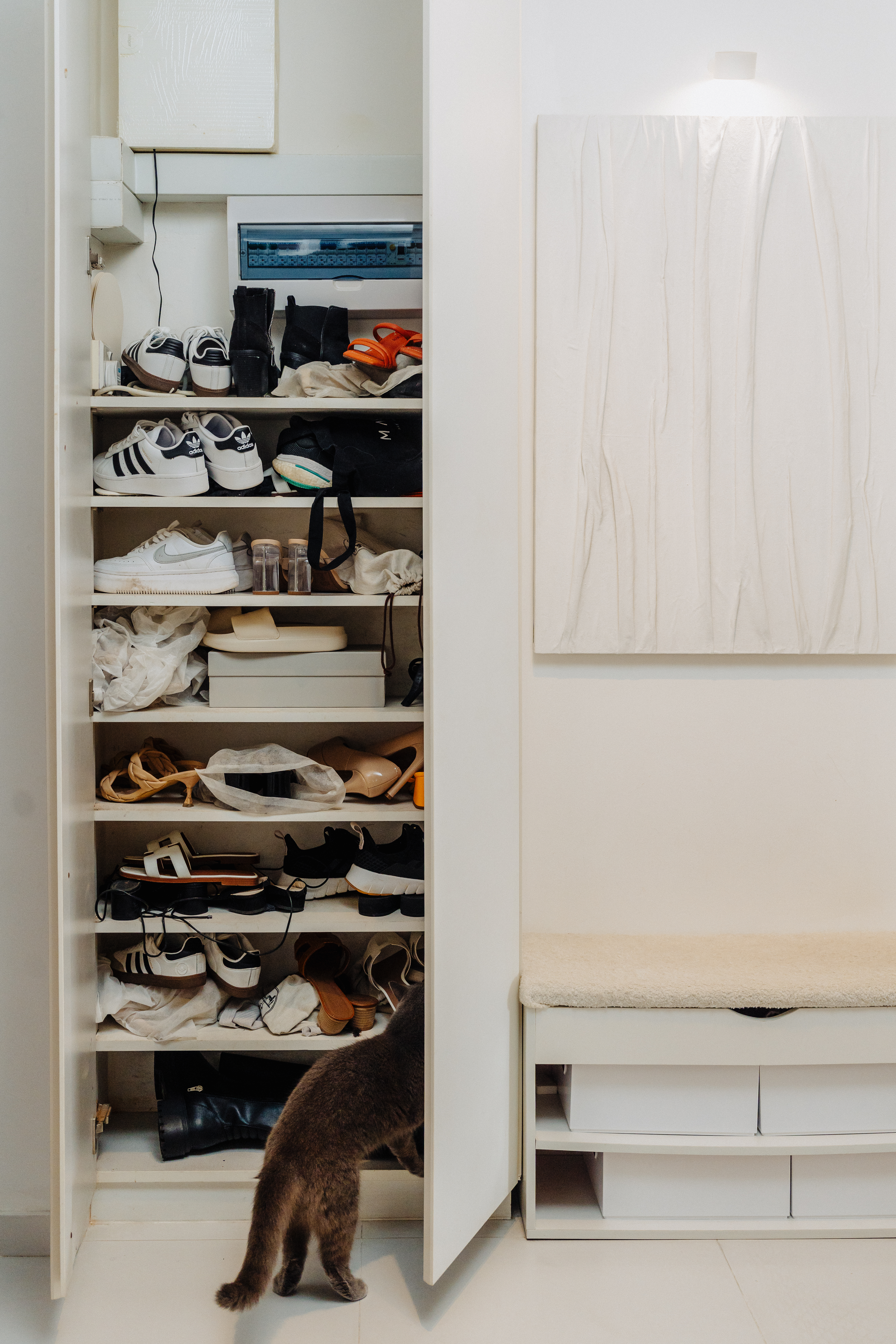 Our Entryway: Creating A Functional And Aesthetic Space With DIY  - Shoes, closet, shoes on shelves, shoes organized, shoes