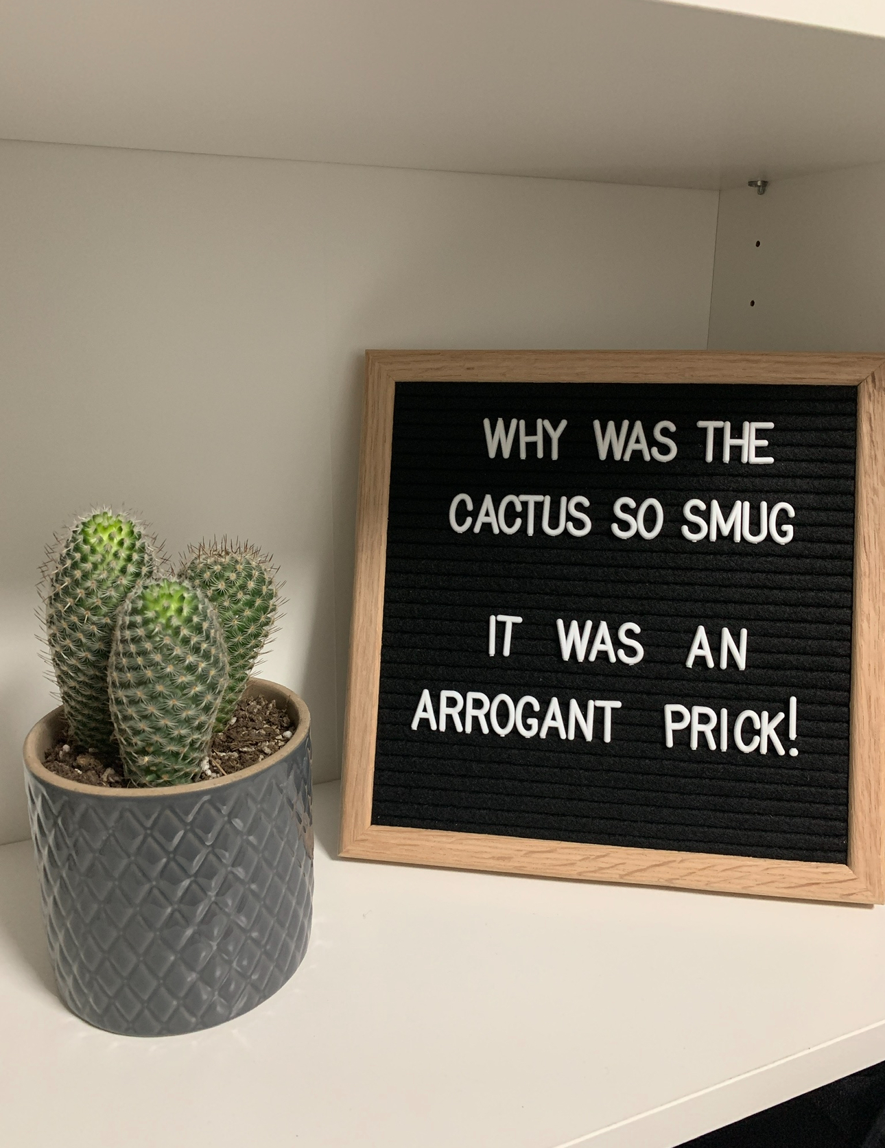 Our Entryway: Creating A Functional And Aesthetic Space With DIY  - Cactus in gray pot, blackboard sign, "Why was the cactus