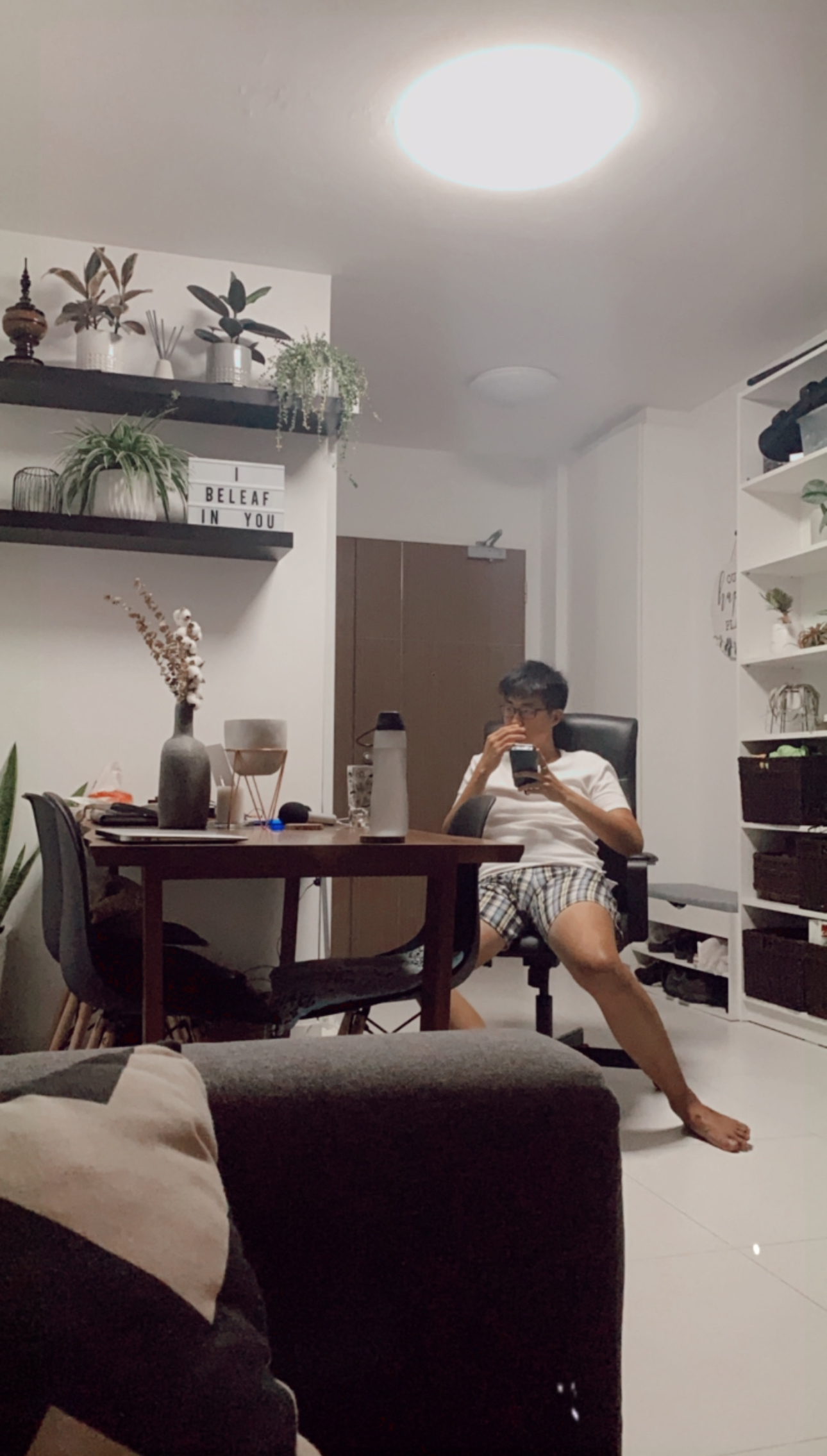 Our Entryway: Creating A Functional And Aesthetic Space With DIY  - Modern living room, cozy atmosphere, indoor plants