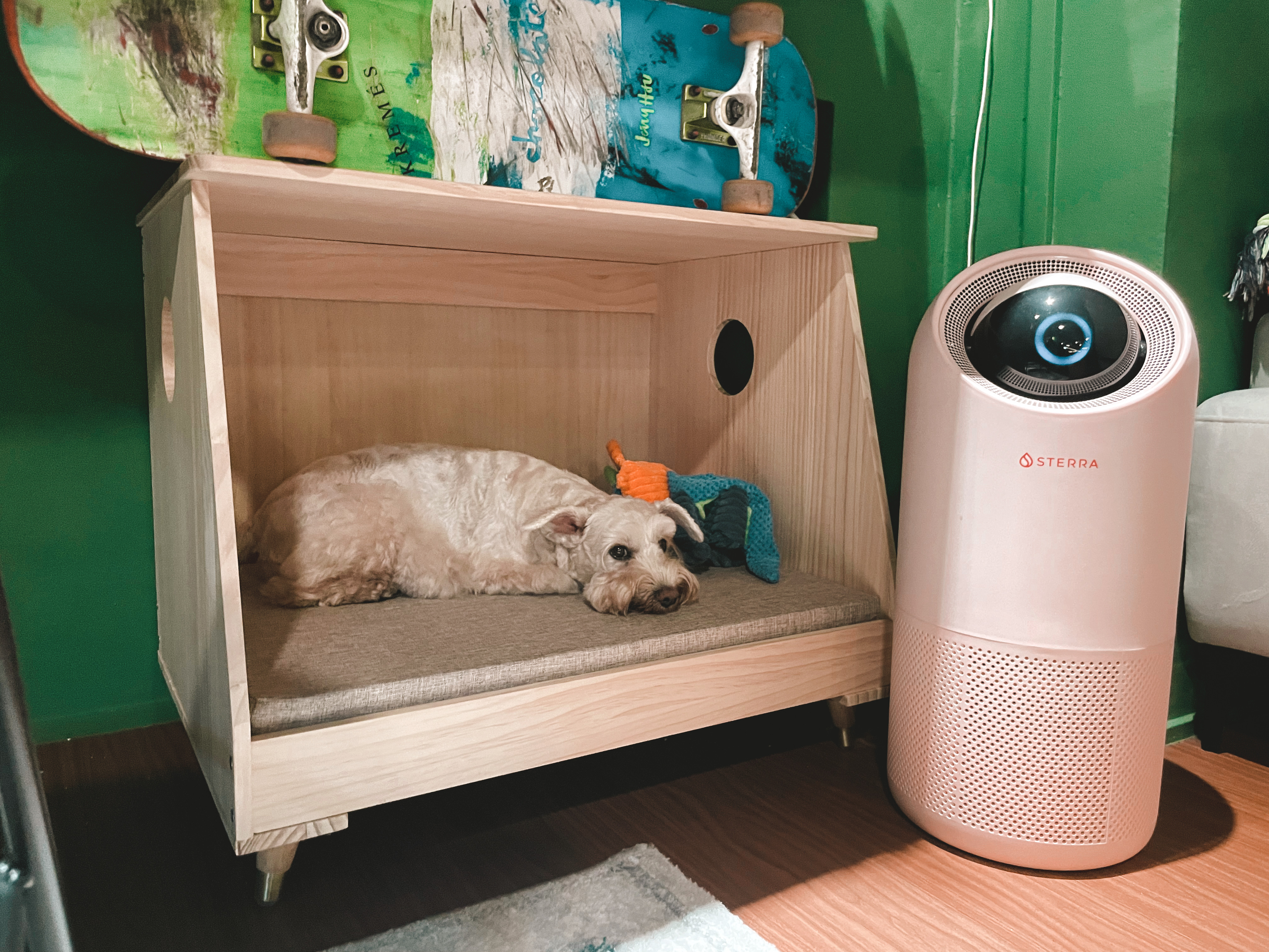 Entryway-Meets-DIY-Balcony:-Our-Personalized-Welcome-Space