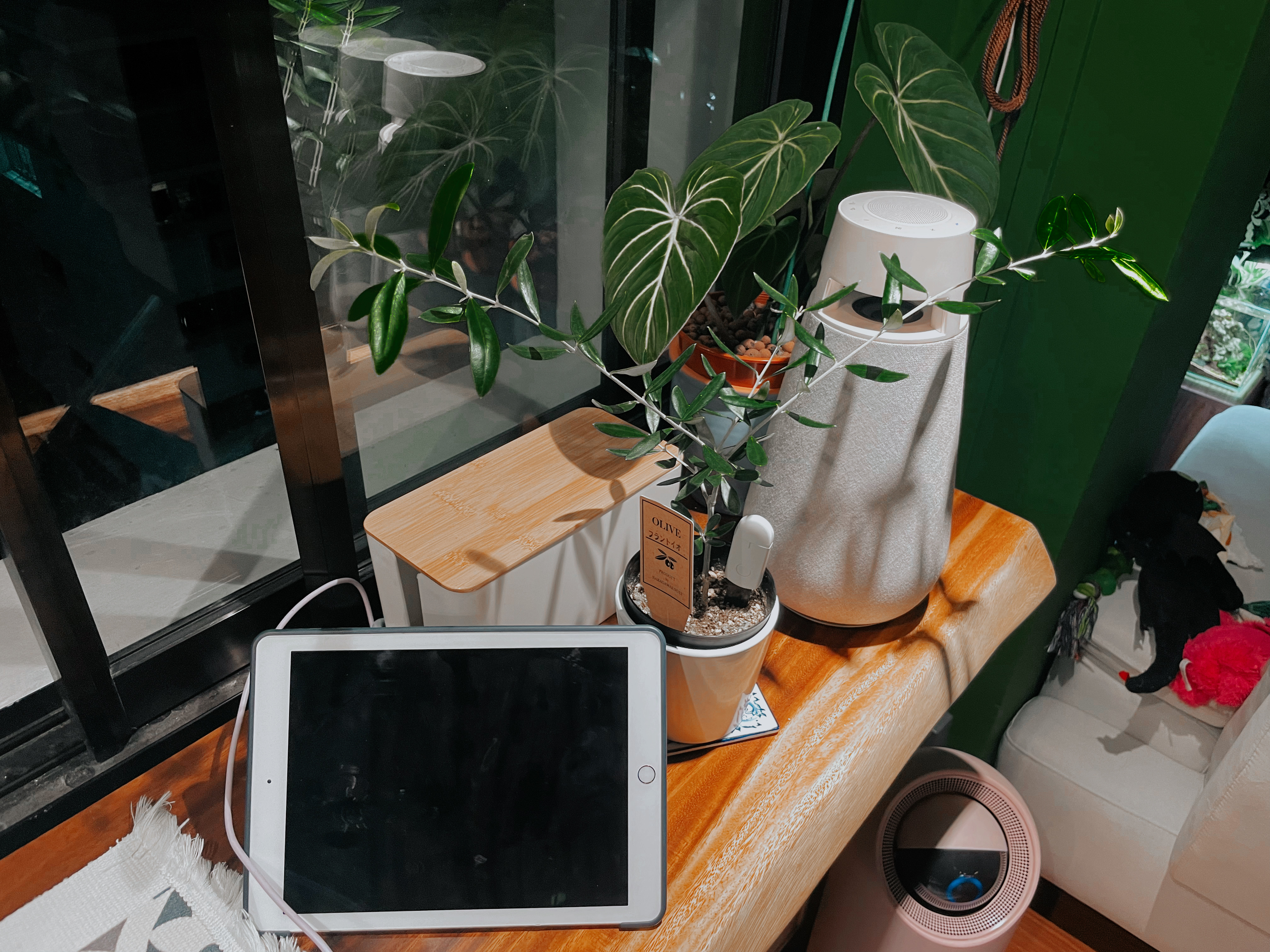Entryway Meets DIY Balcony: Our Personalized Welcome Space - Green indoor plants, modern living room, cozy atmosphere
