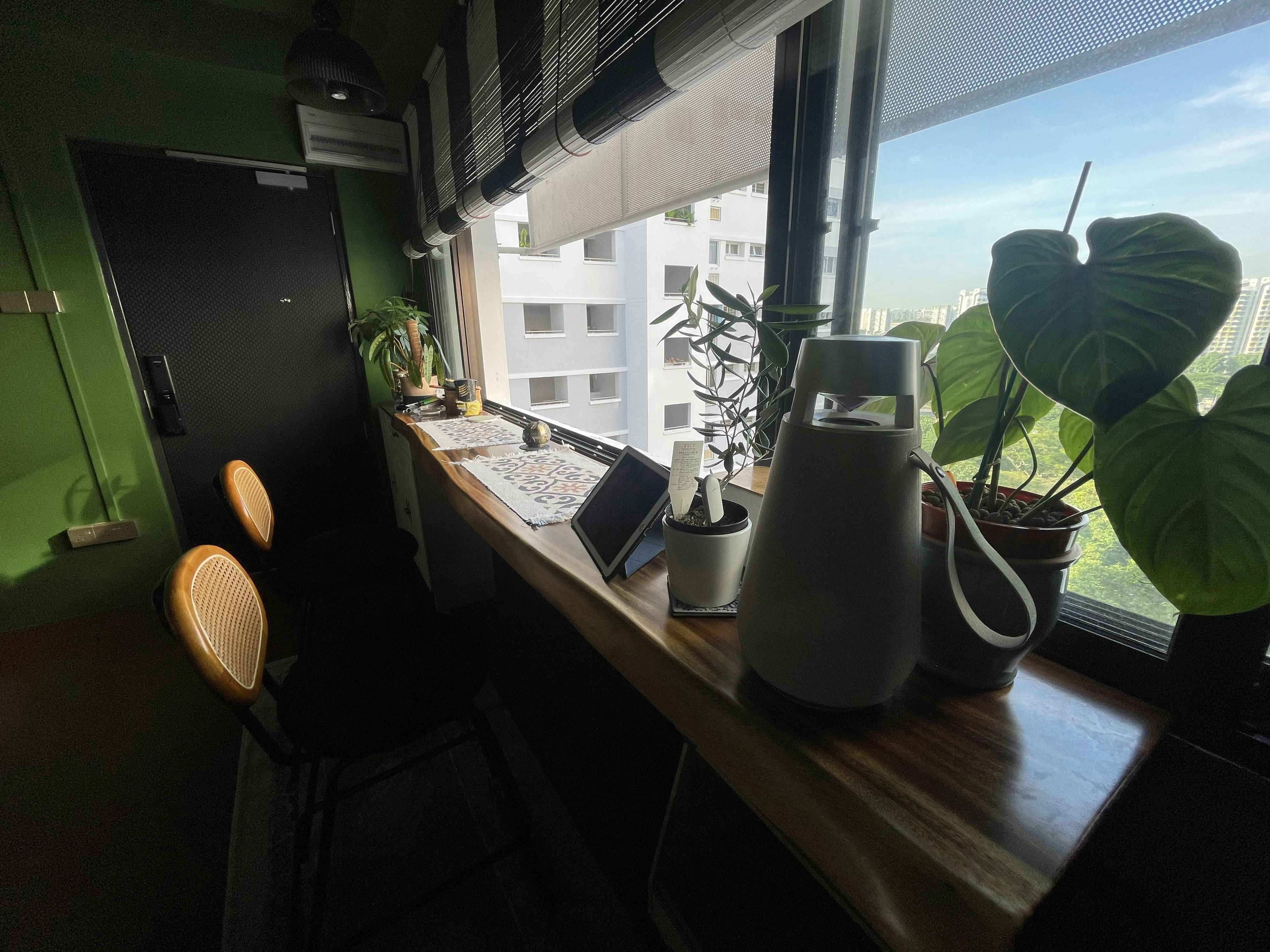 Entryway Meets DIY Balcony: Our Personalized Welcome Space - green room, indoor plants, wooden desk, black chair, window