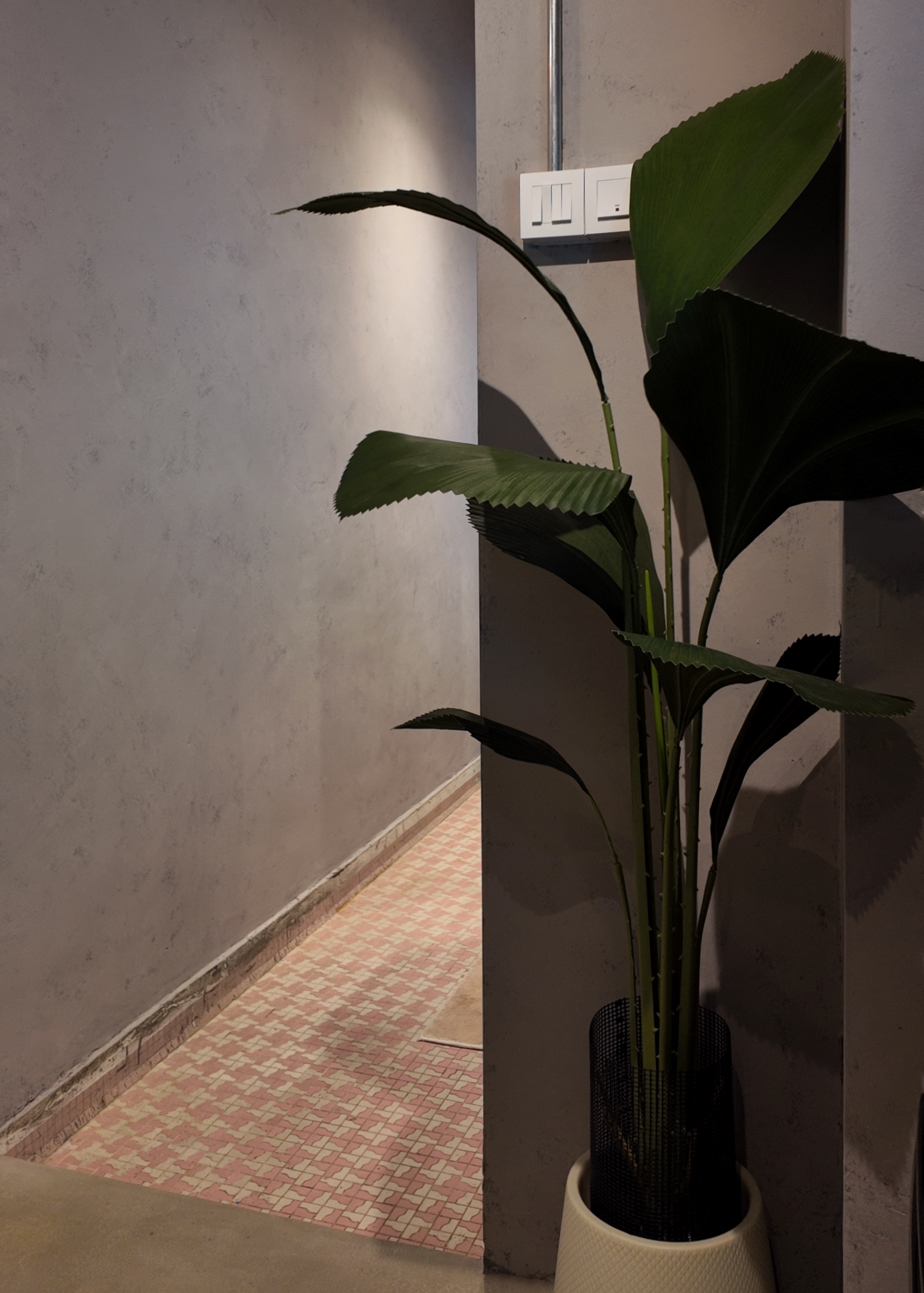 In the jungle, the mighty jungle ╰(*´︶`*)╯♡ - modern indoor space, minimalist design, contemporary decor, sleek wall, soft