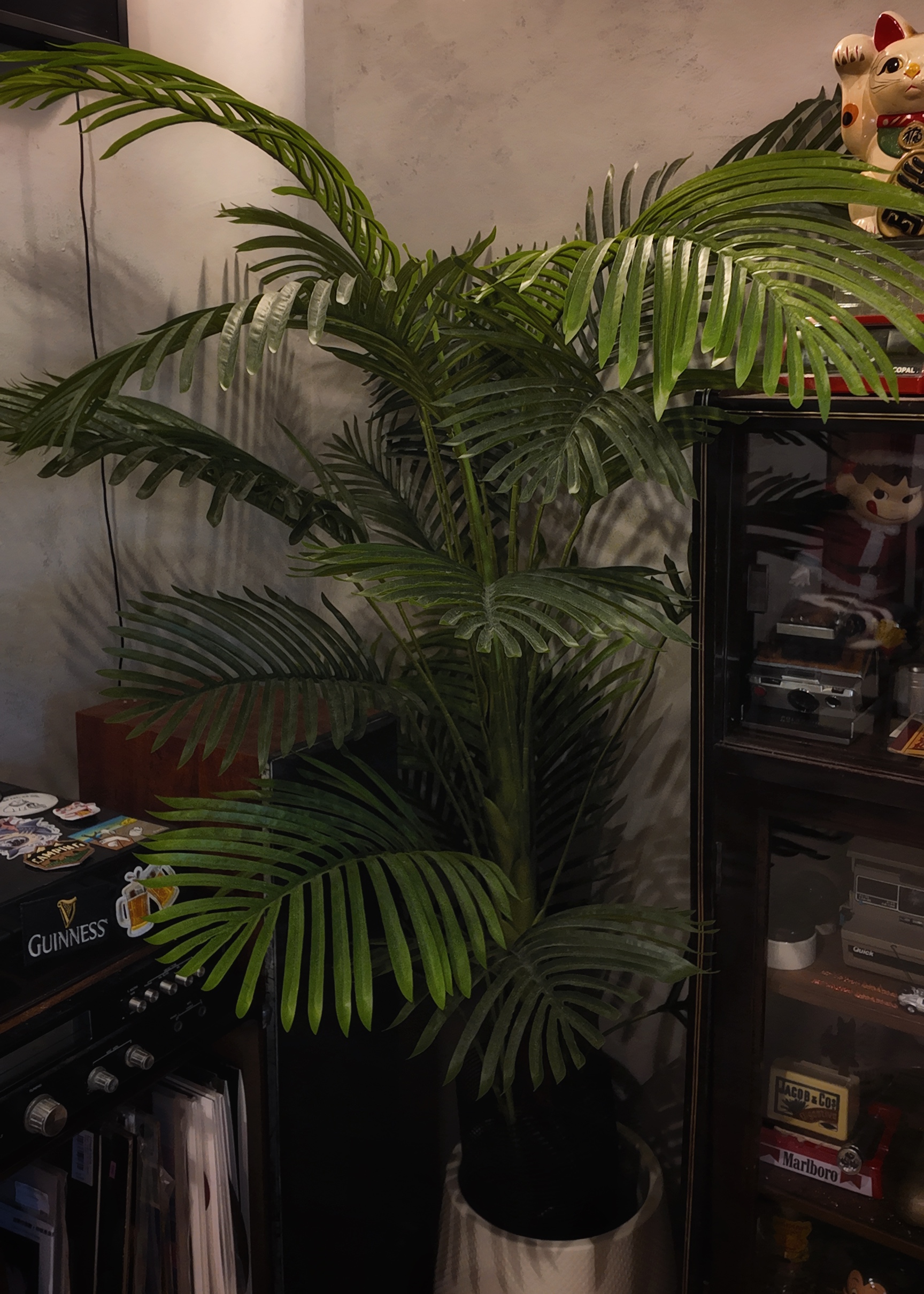 In the jungle, the mighty jungle ╰(*´︶`*)╯♡ - Green potted plant, tropical decor, indoor setting, wall art, vintage radio