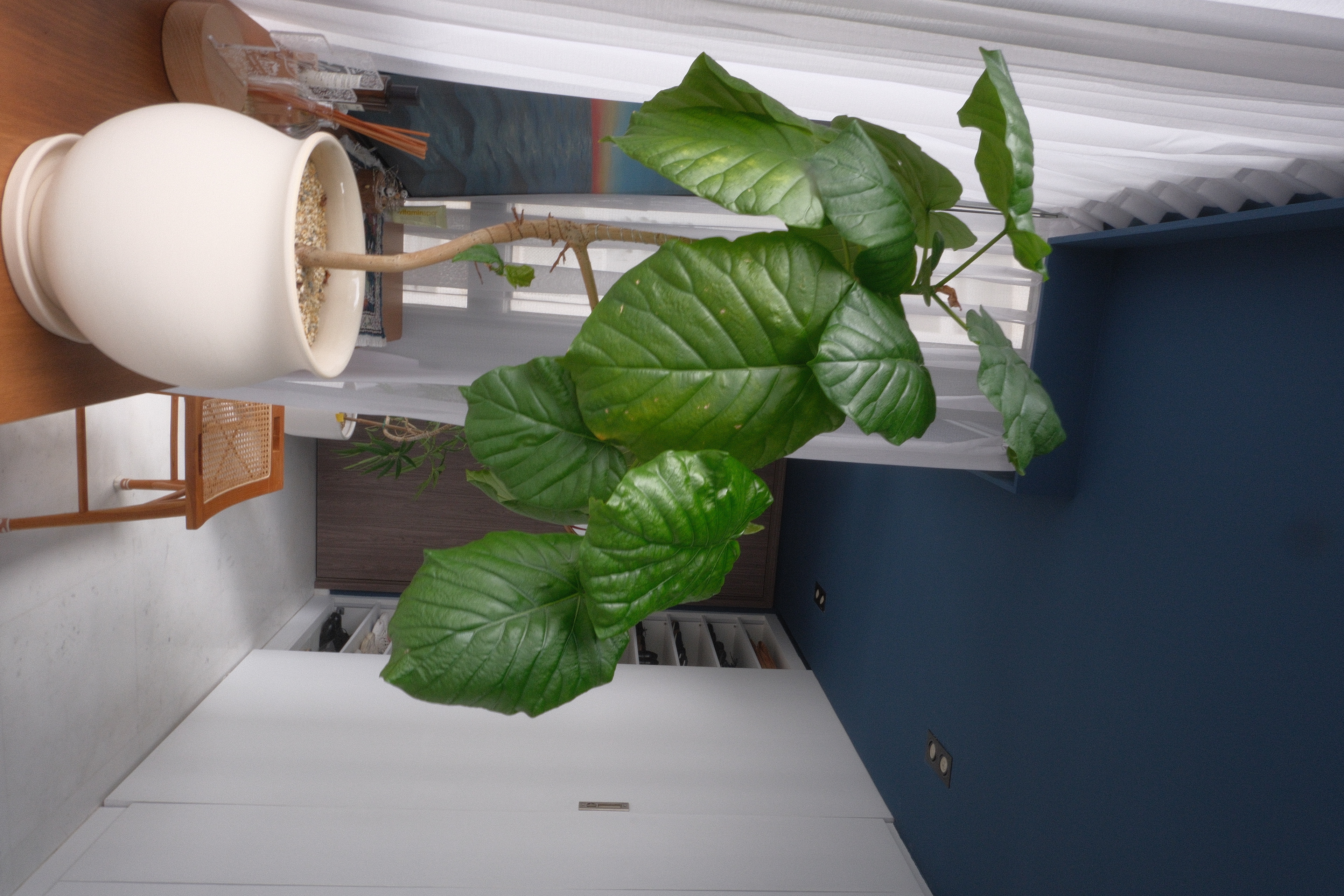 VIEW-to-receive-Red-Carpet-Treatment-at-this-STUNNING-Walkway-Entrance