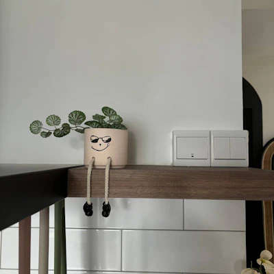 Customer home photo 5: Hidden in plain sight - can you spot the hidden elements in our home?