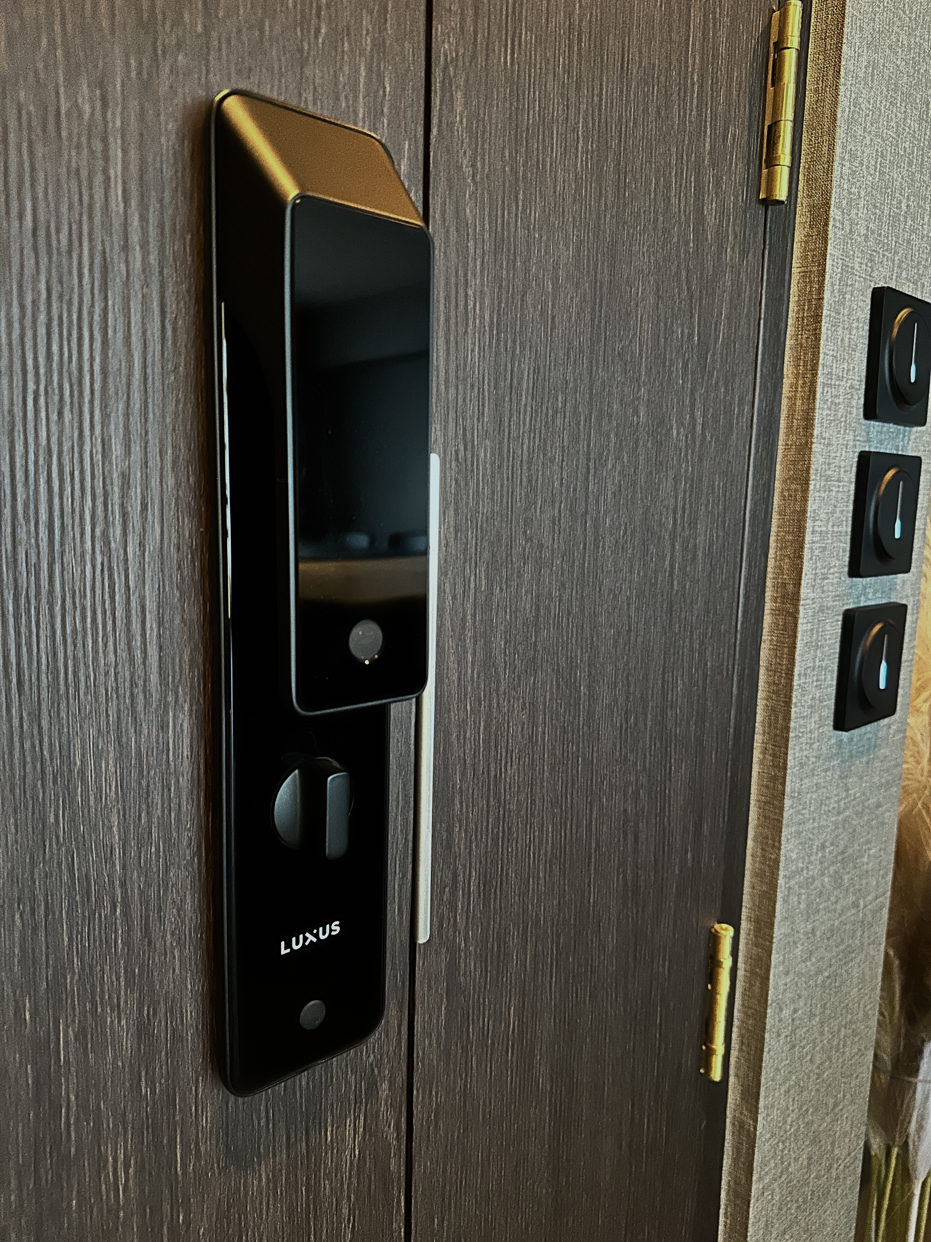 Reflective Elegance: Expanding Our Entryway - Smart lock, digital keypad, luxury design, modern technology, home security